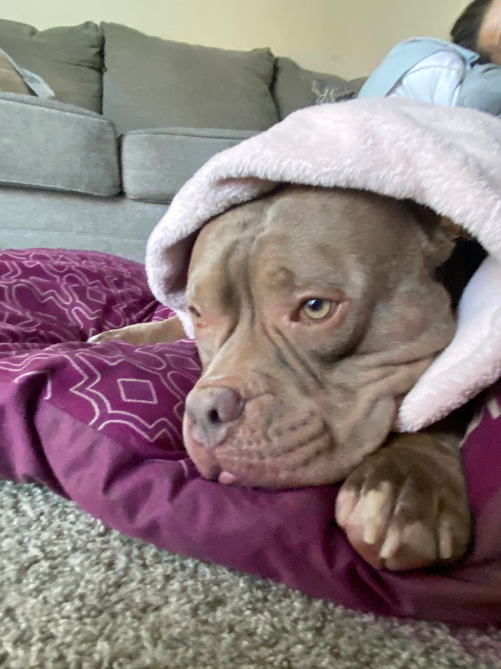 Photo of Floyd