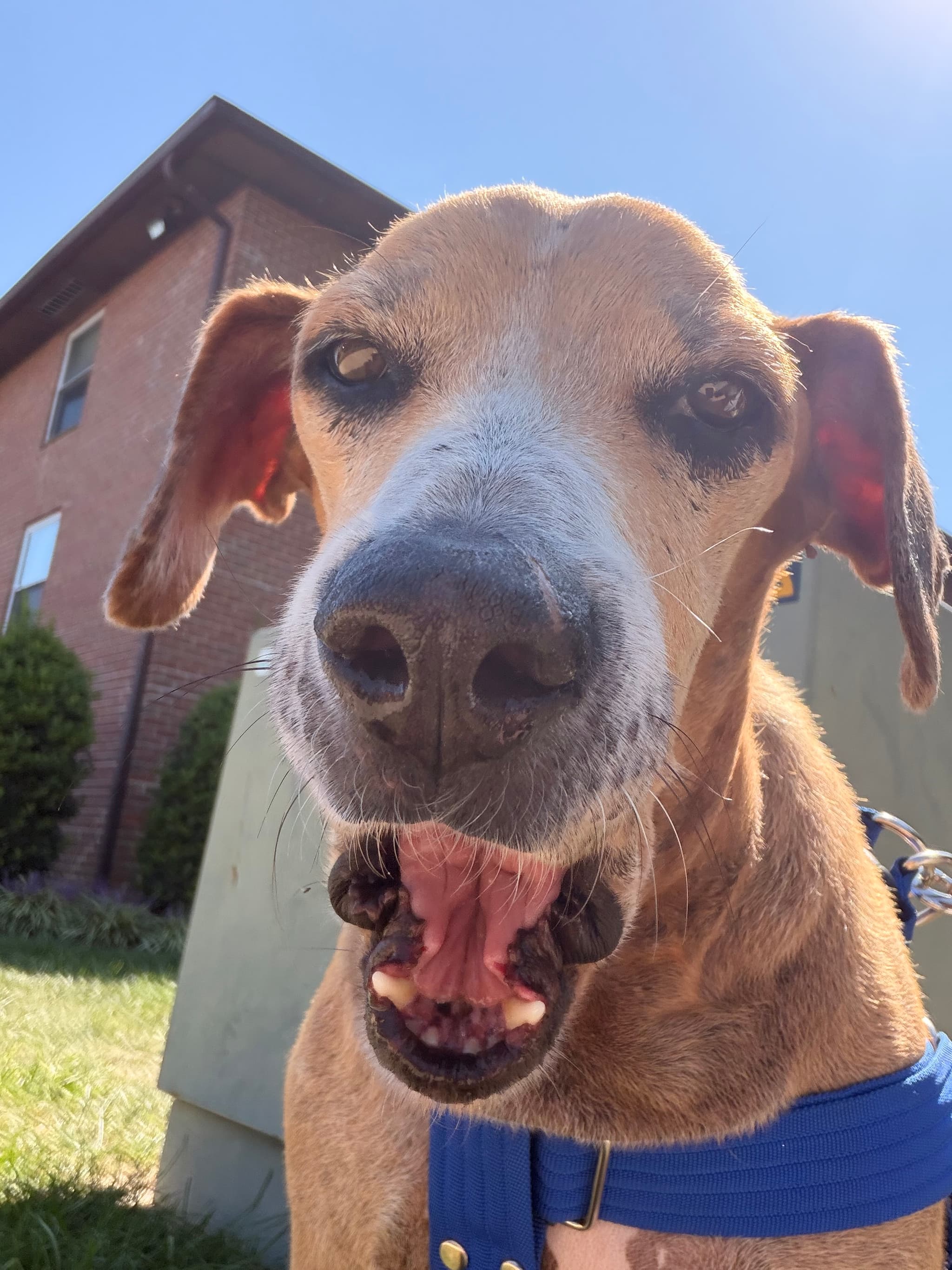 Photo of Spritz