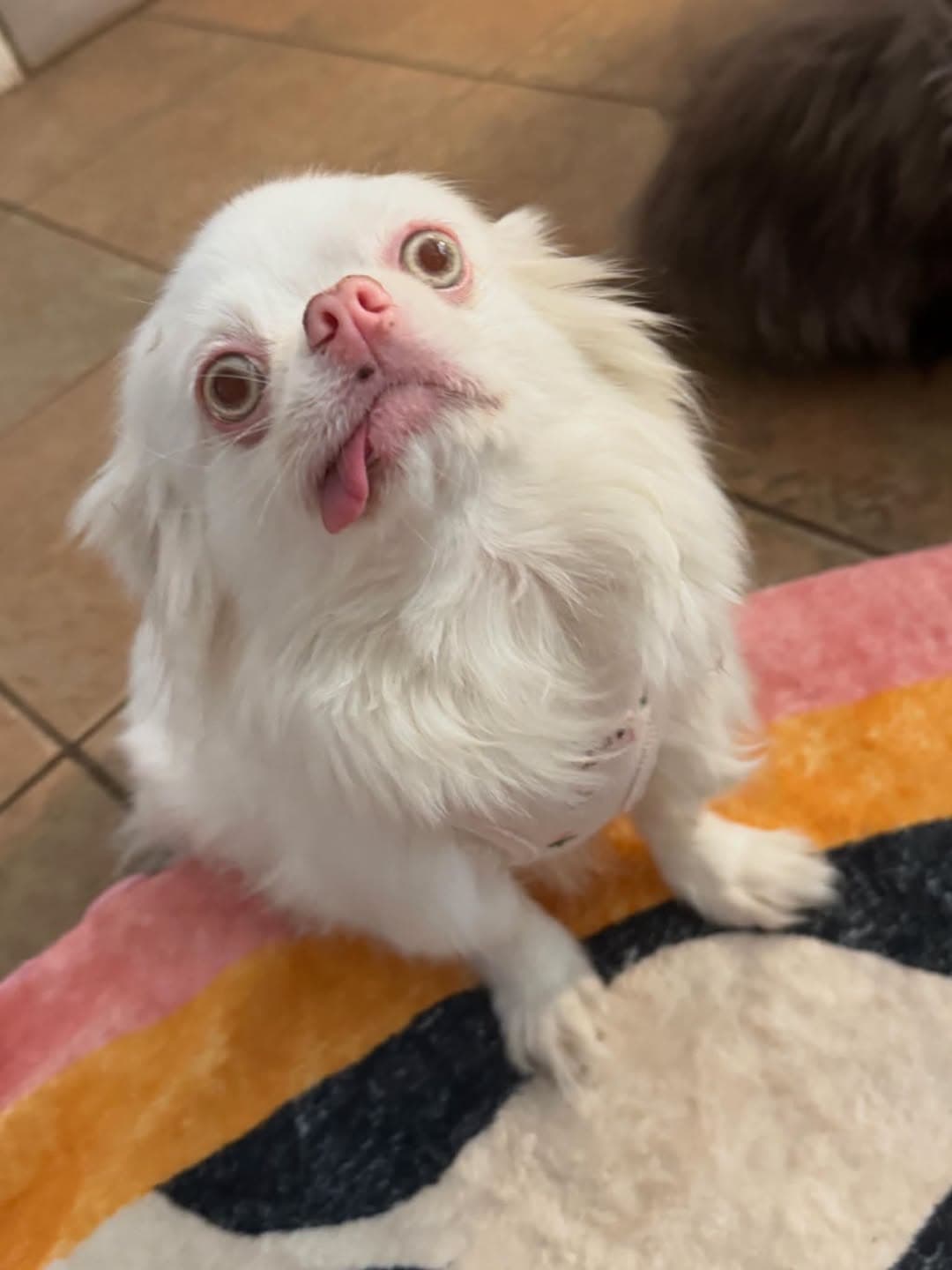 Photo of Eloise