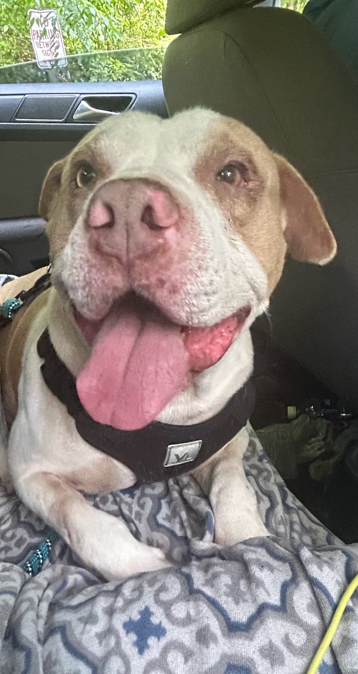Photo of Baxter
