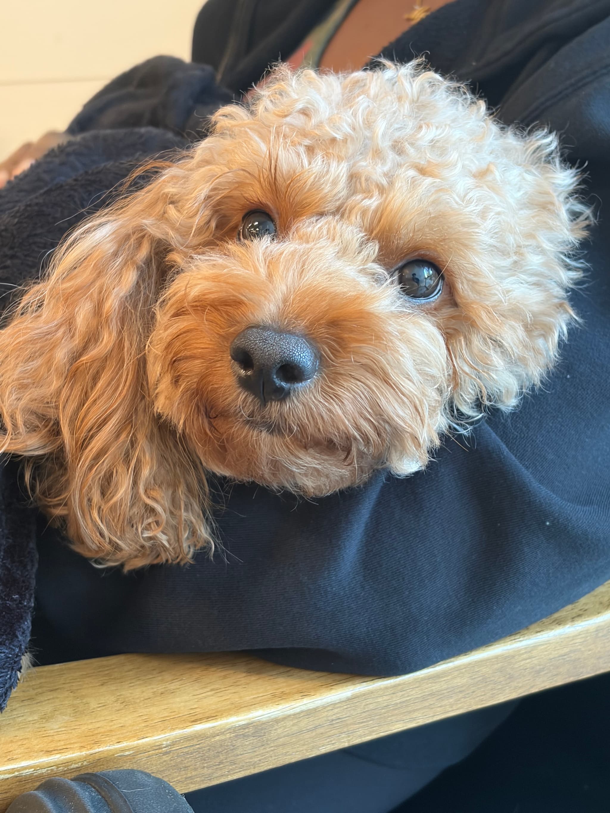 Photo of Jaxson