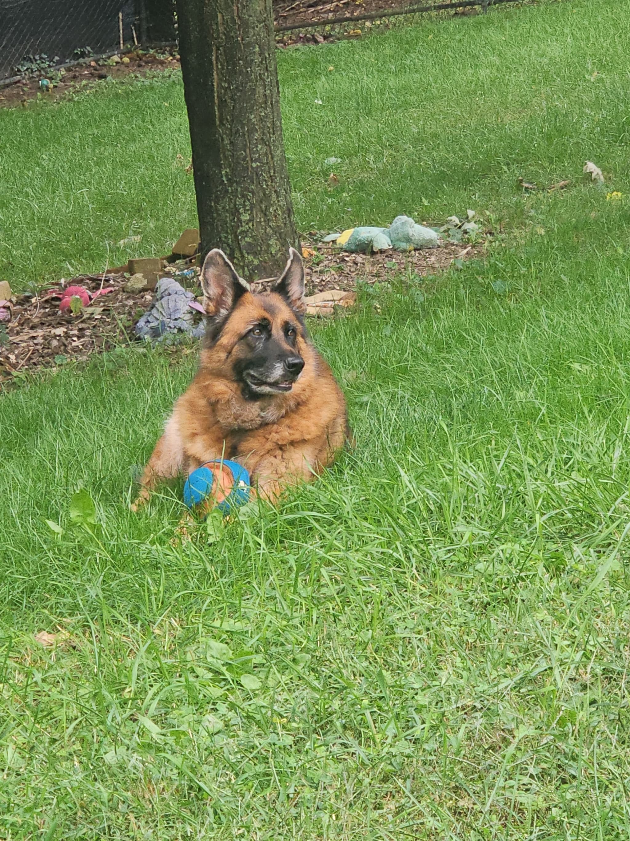 Photo of Gretchen