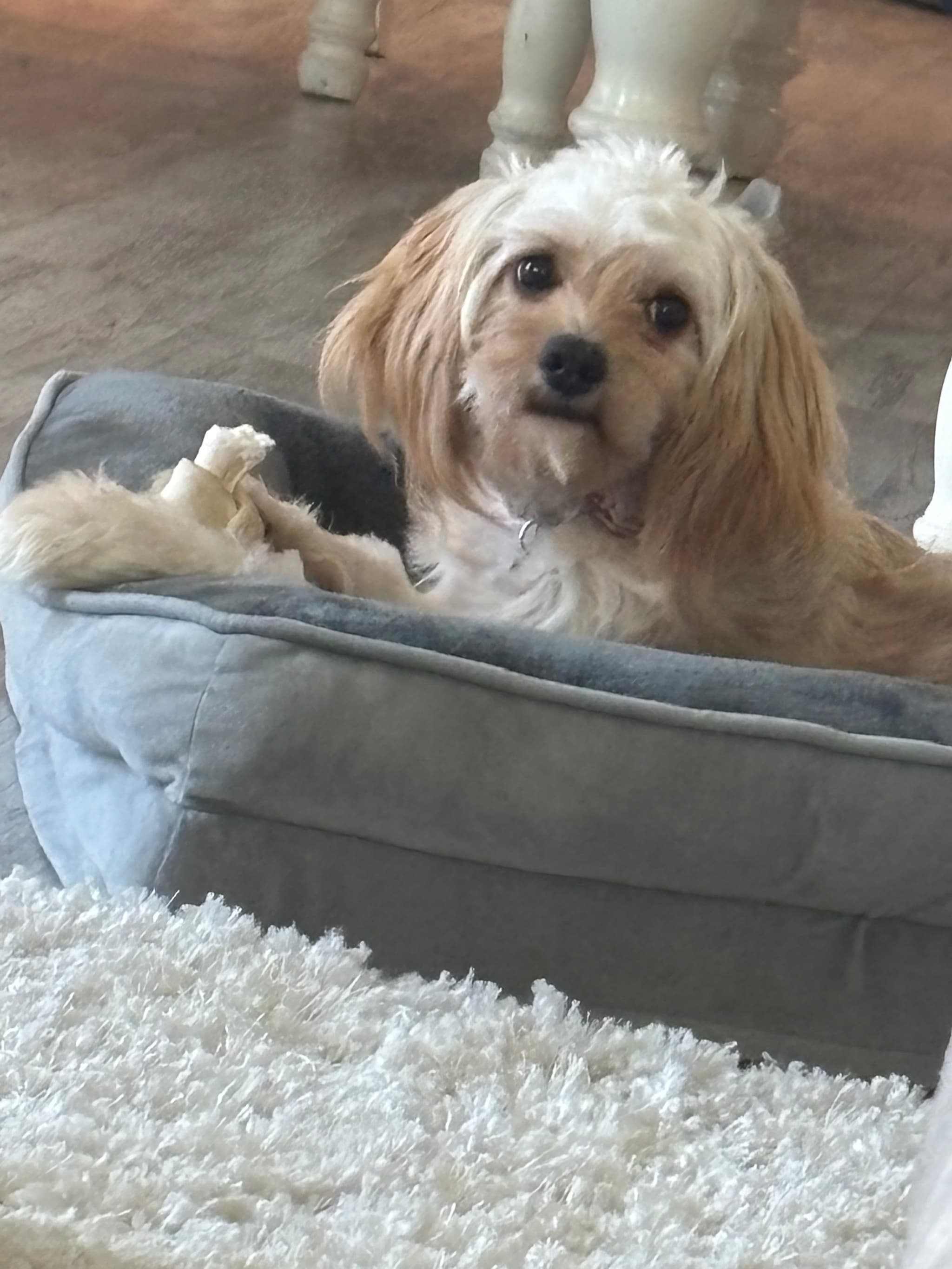 Photo of Chanel
