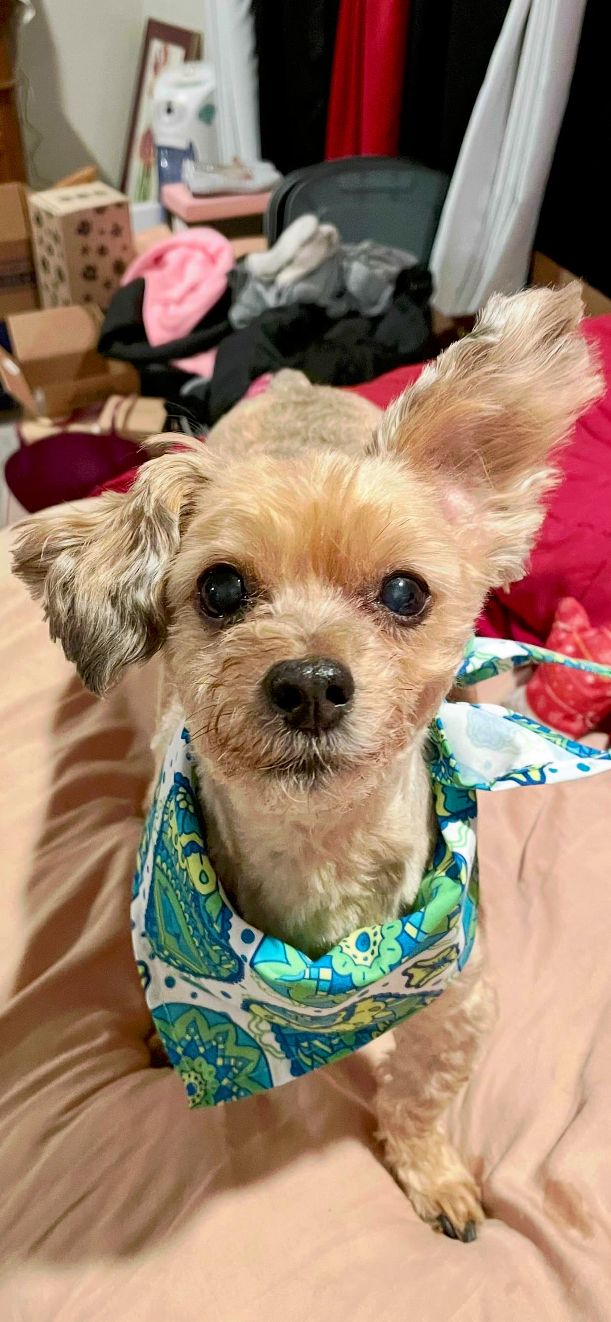 Photo of Charlee