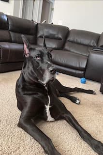 Photo of Shaq