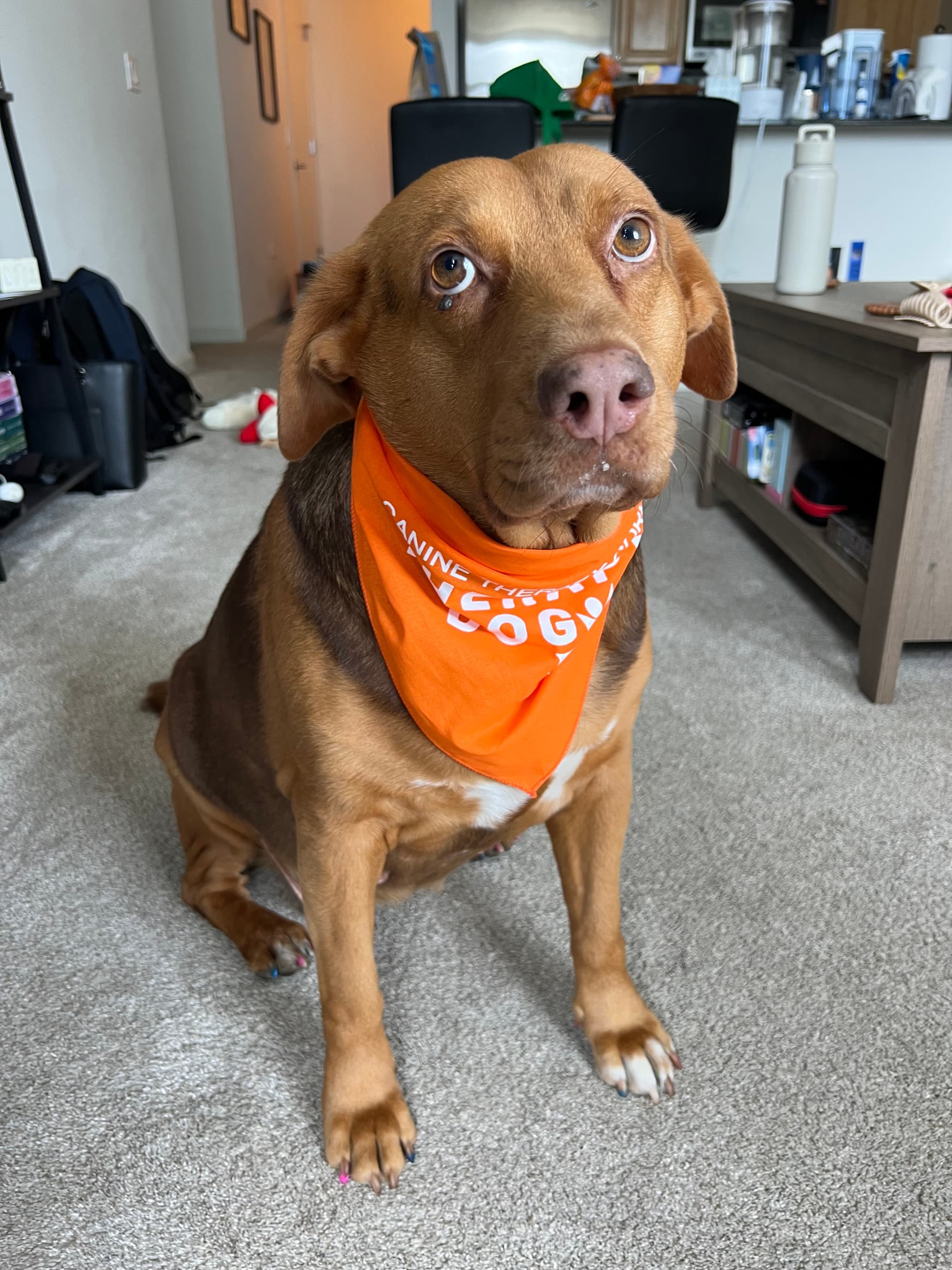 Photo of Adora