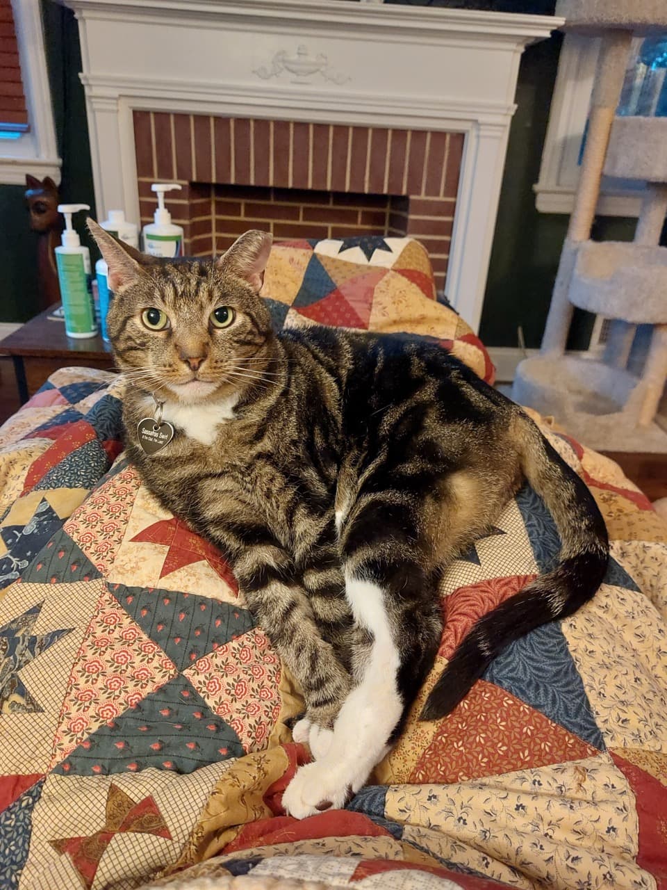 Photo of Sassafras Swirl