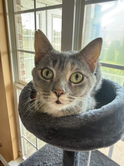 Photo of Momma Millie