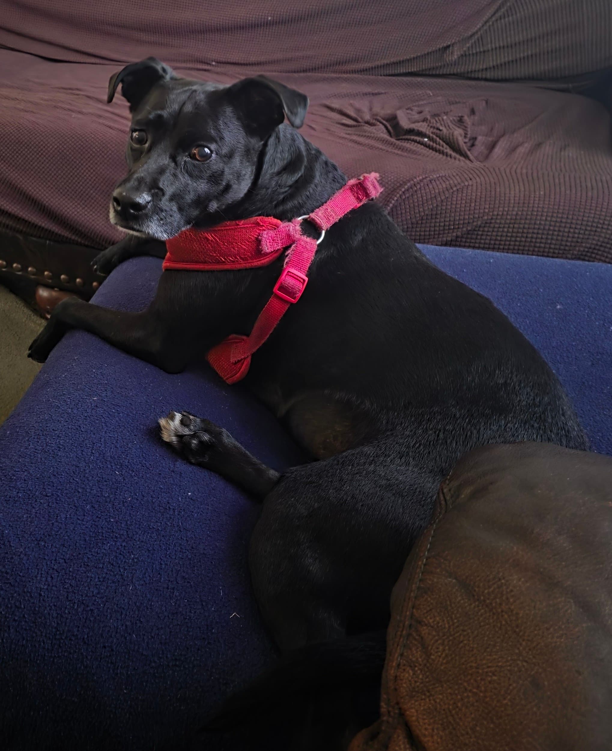 Photo of Sophia