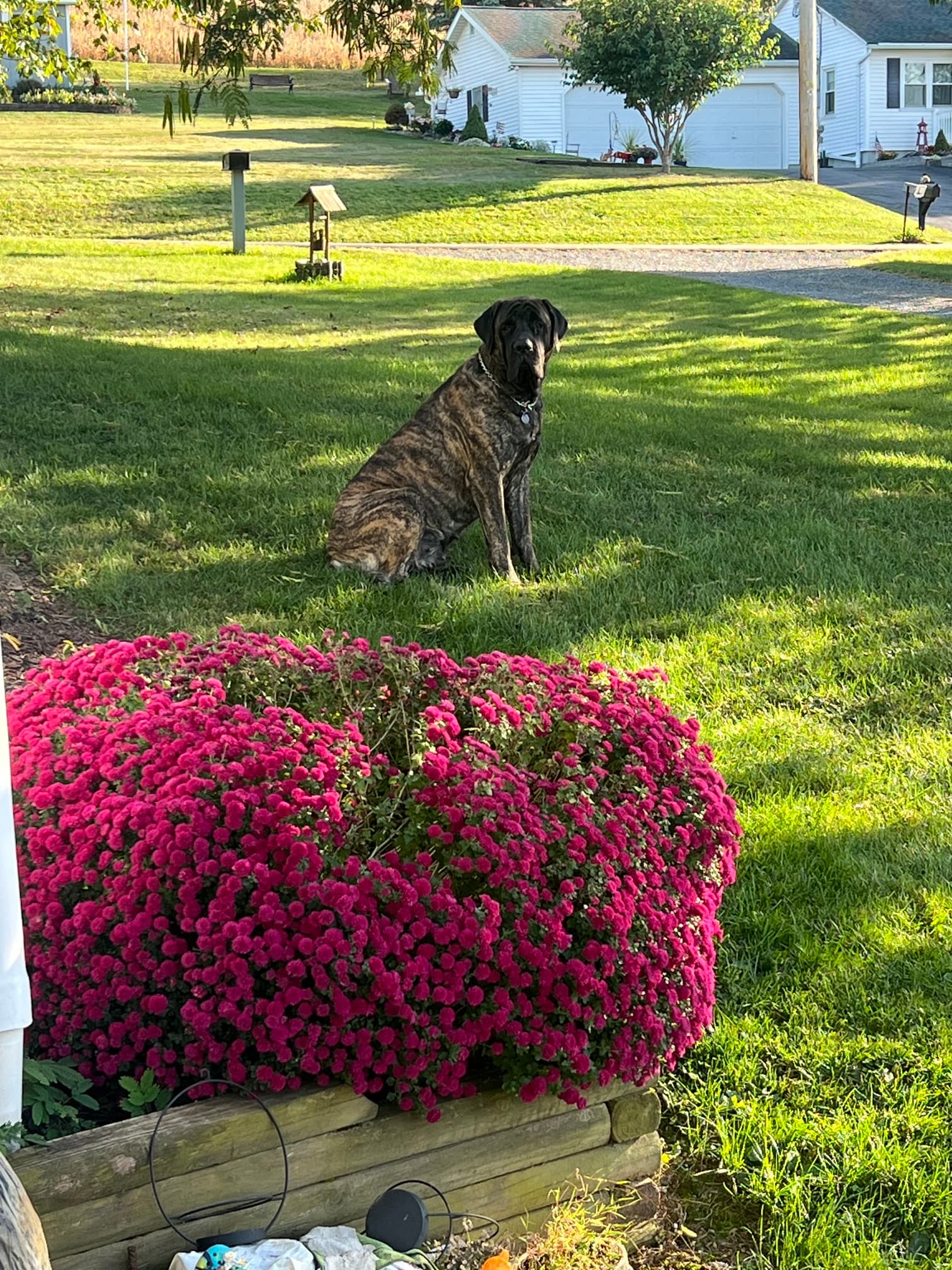 Photo of Sophie