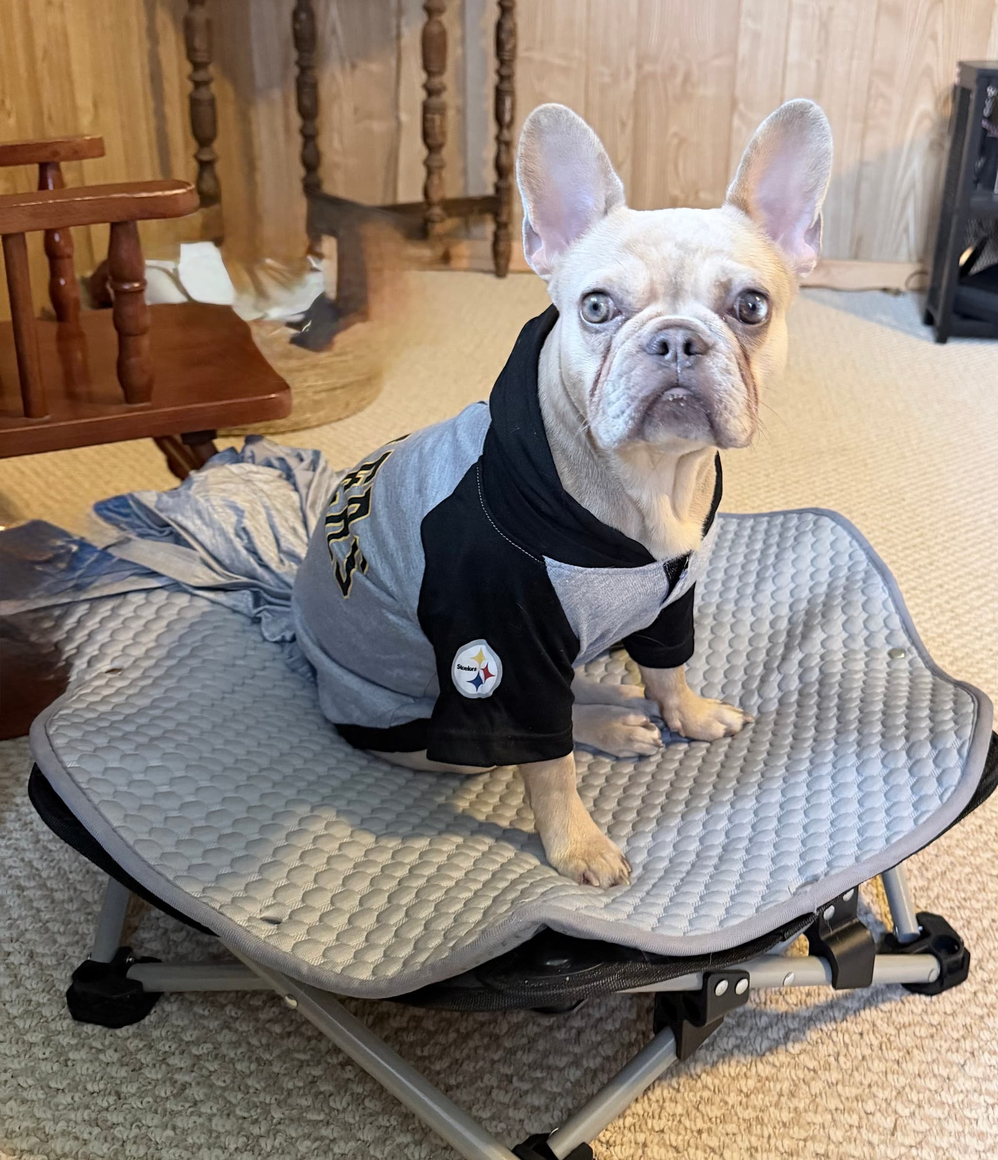 Photo of Ruby