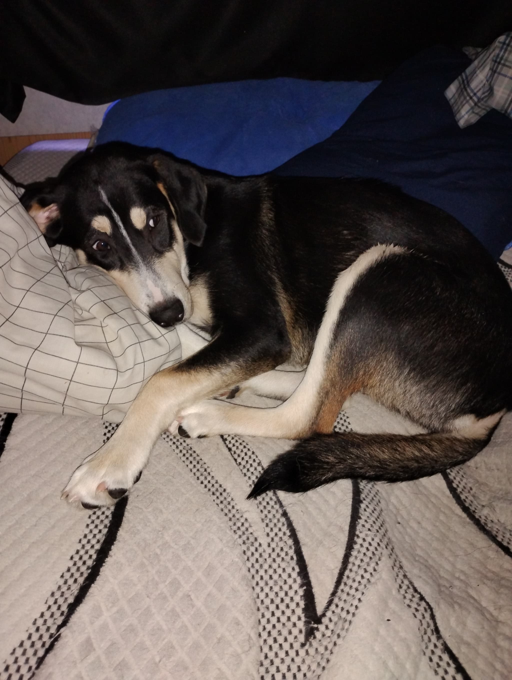 Photo of Winnie