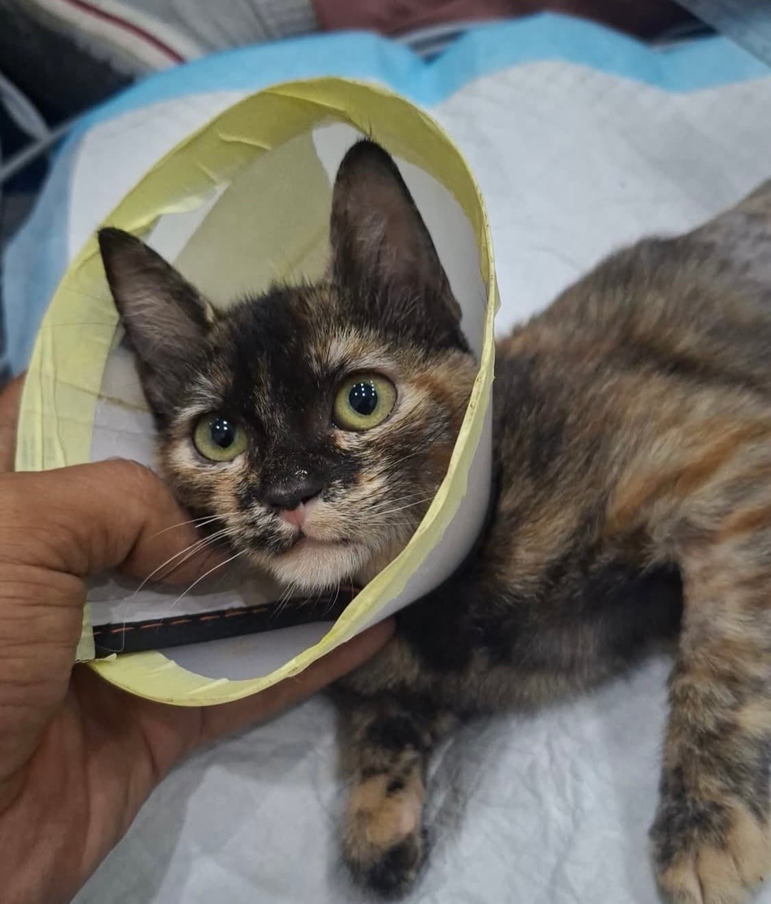 Photo of Tina