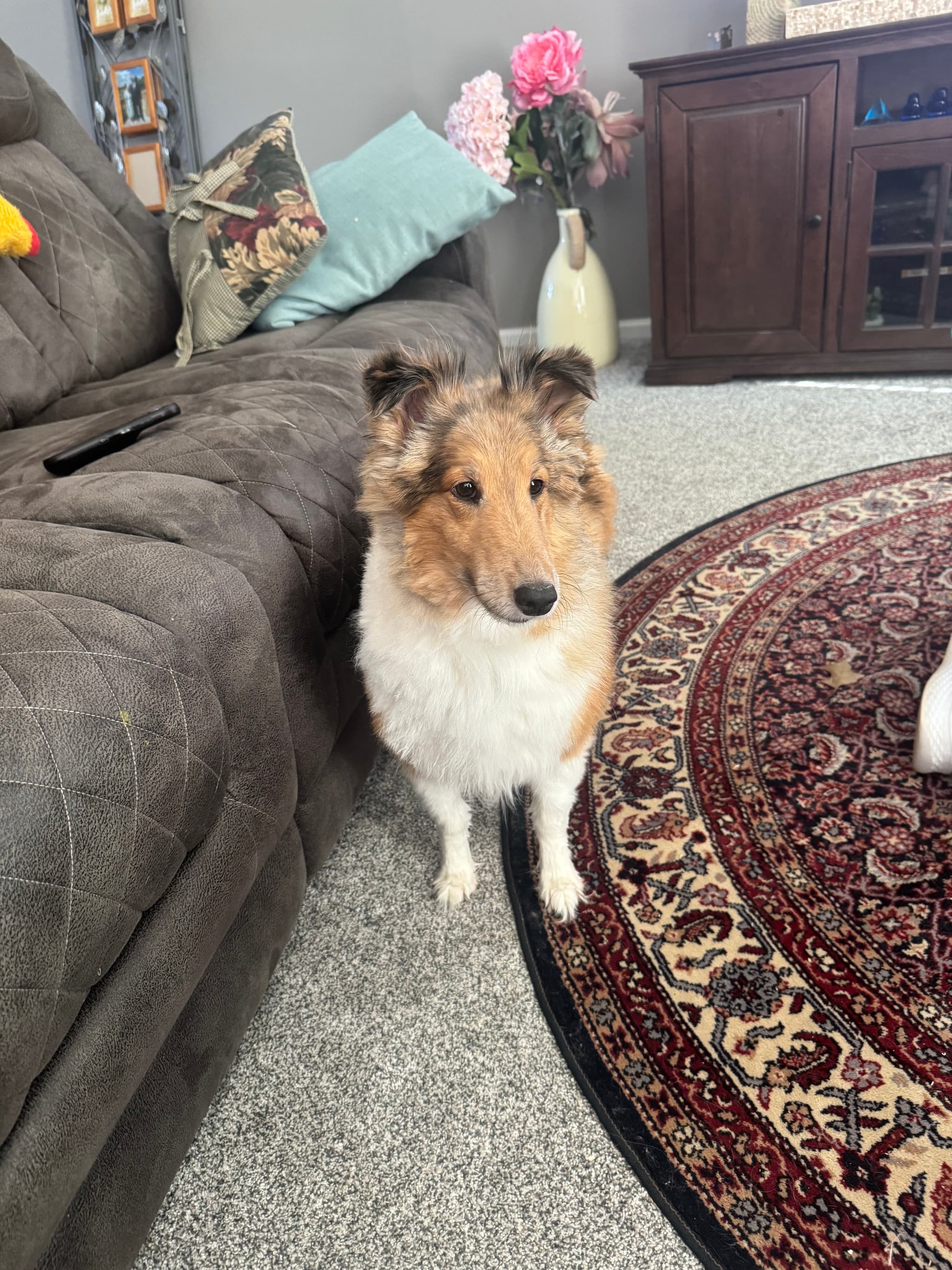 Photo of Cooper