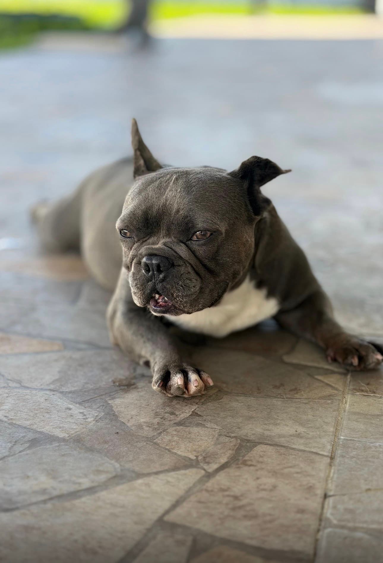 Photo of Jack