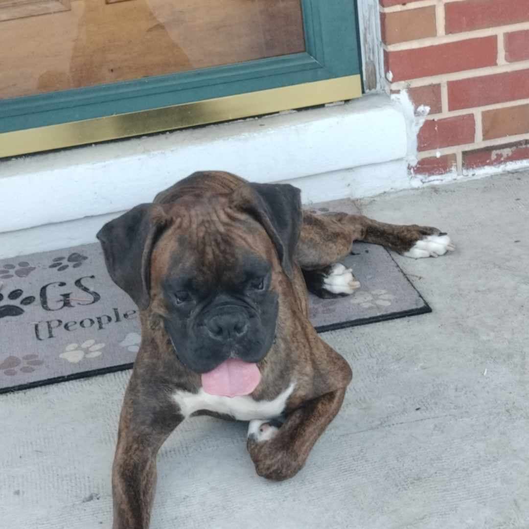 Photo of Arlo
