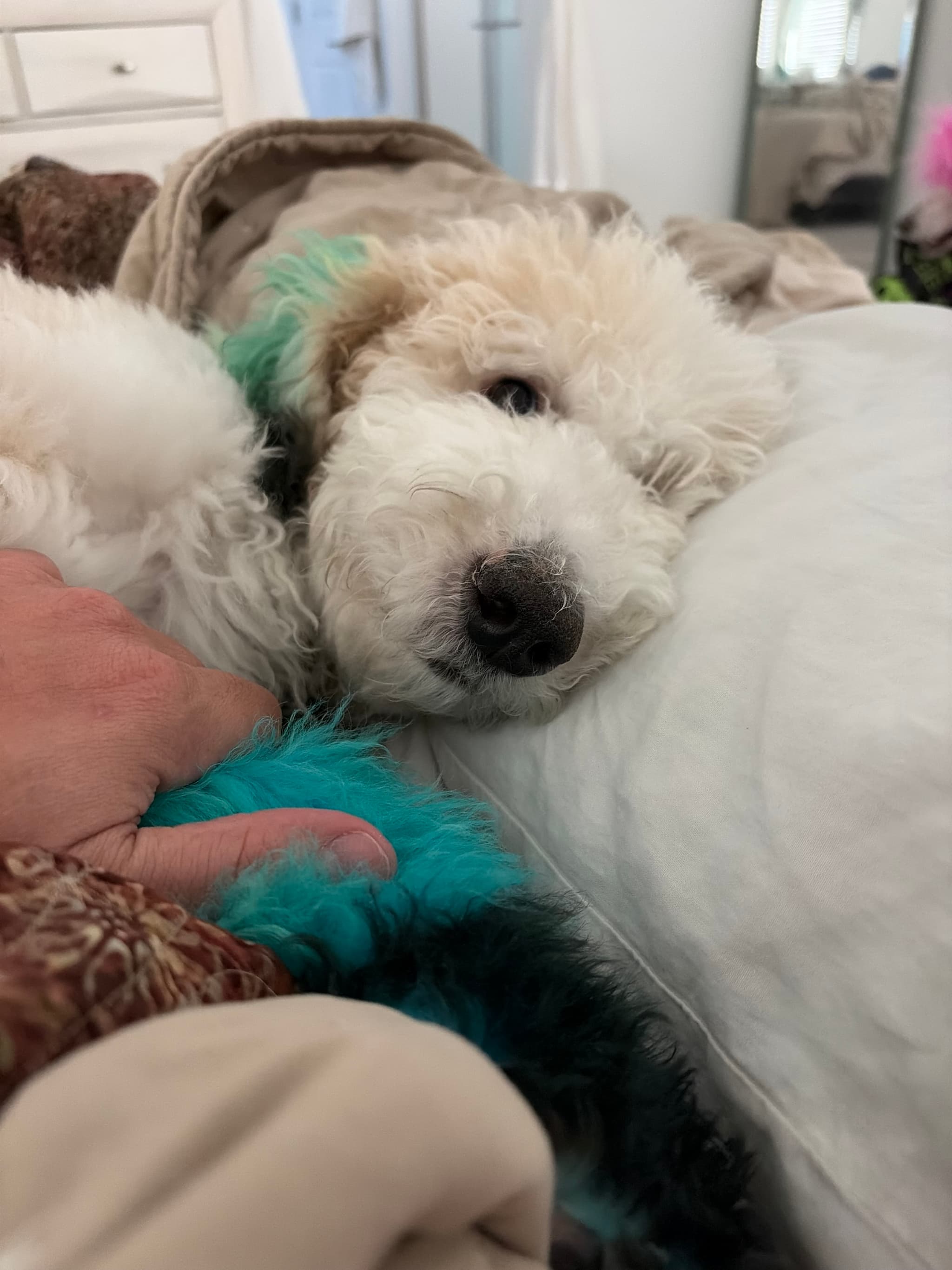 Photo of Jasmine