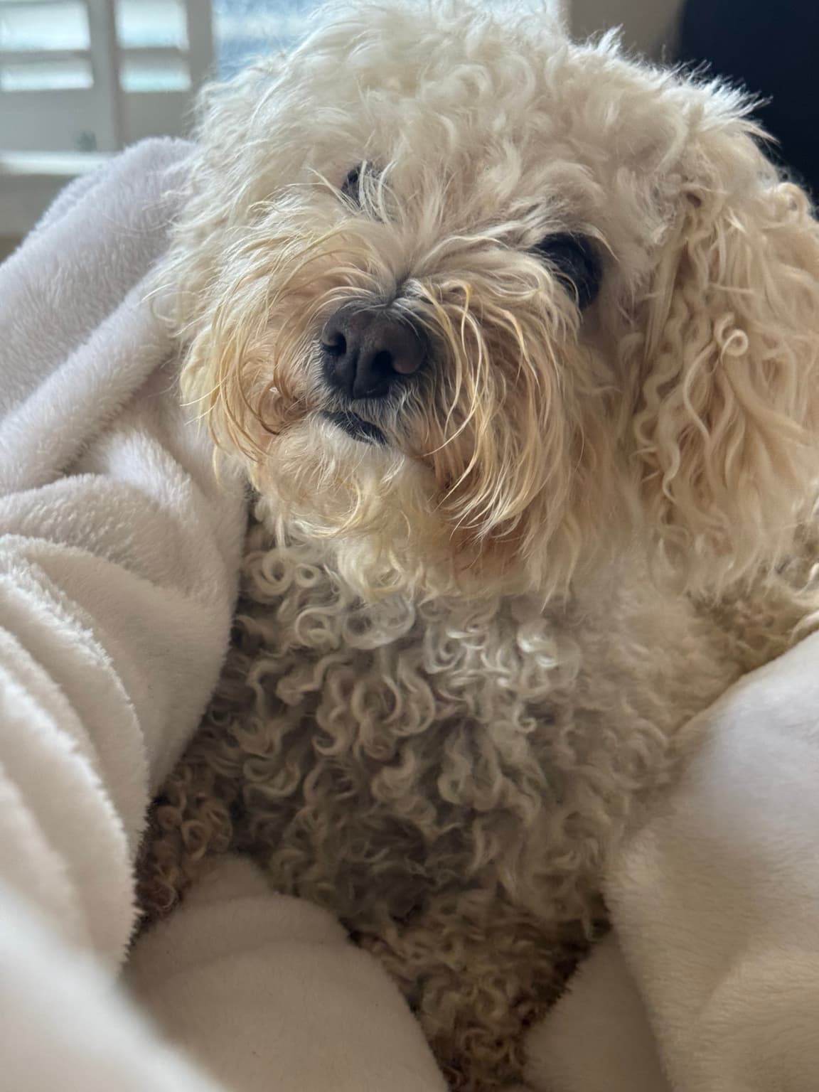 Photo of Sasha