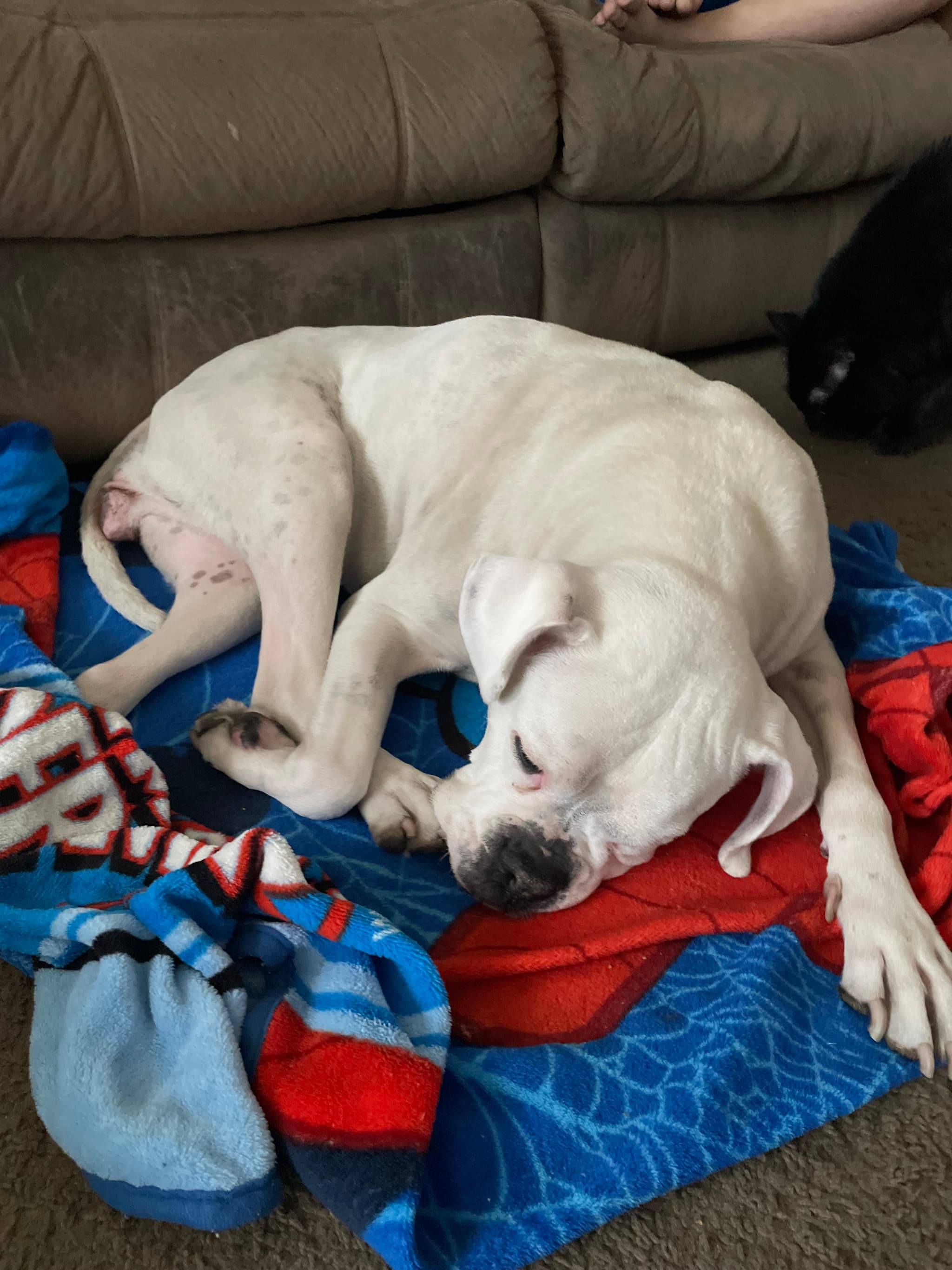Photo of Zima