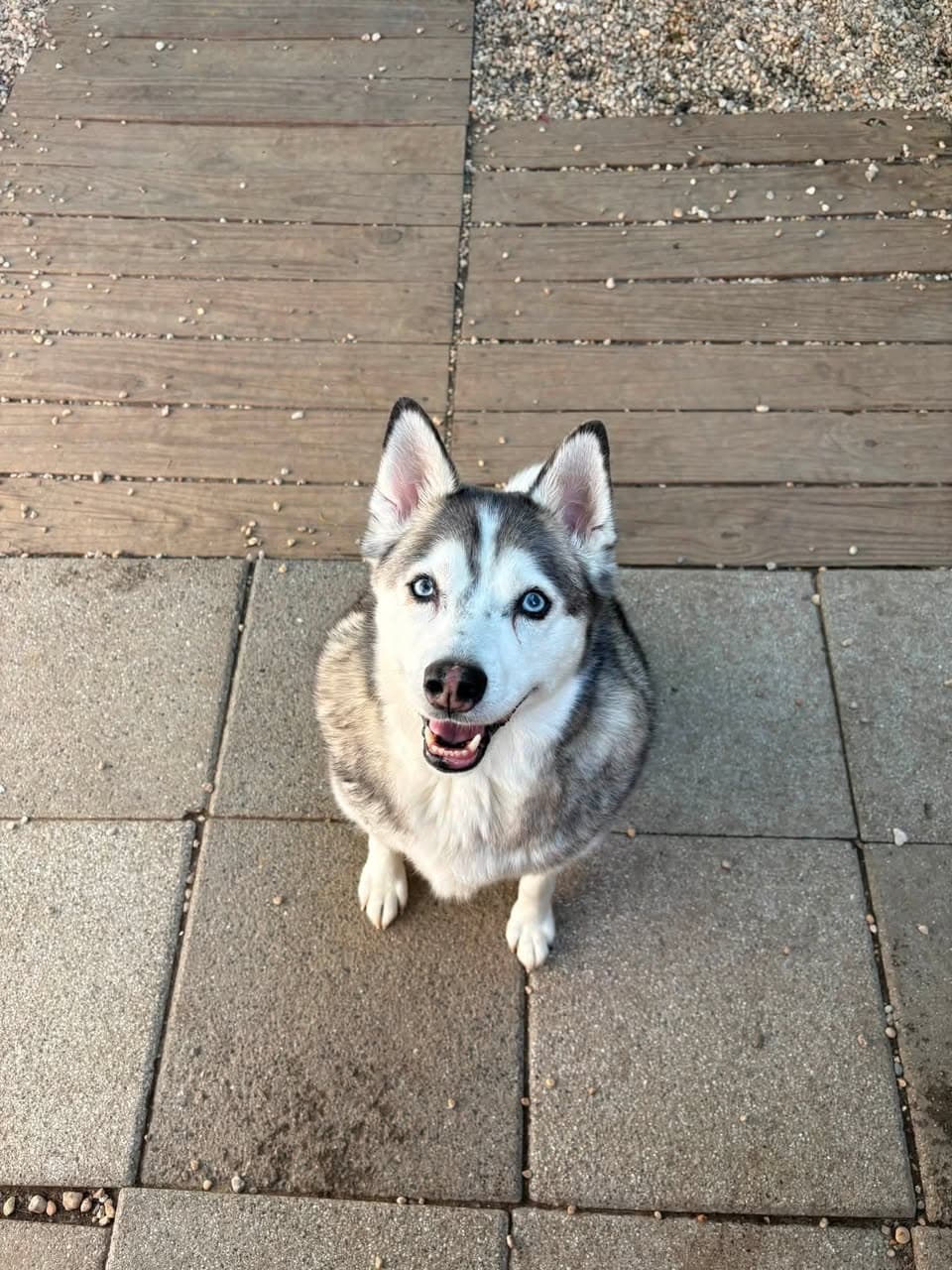 Photo of Nikko