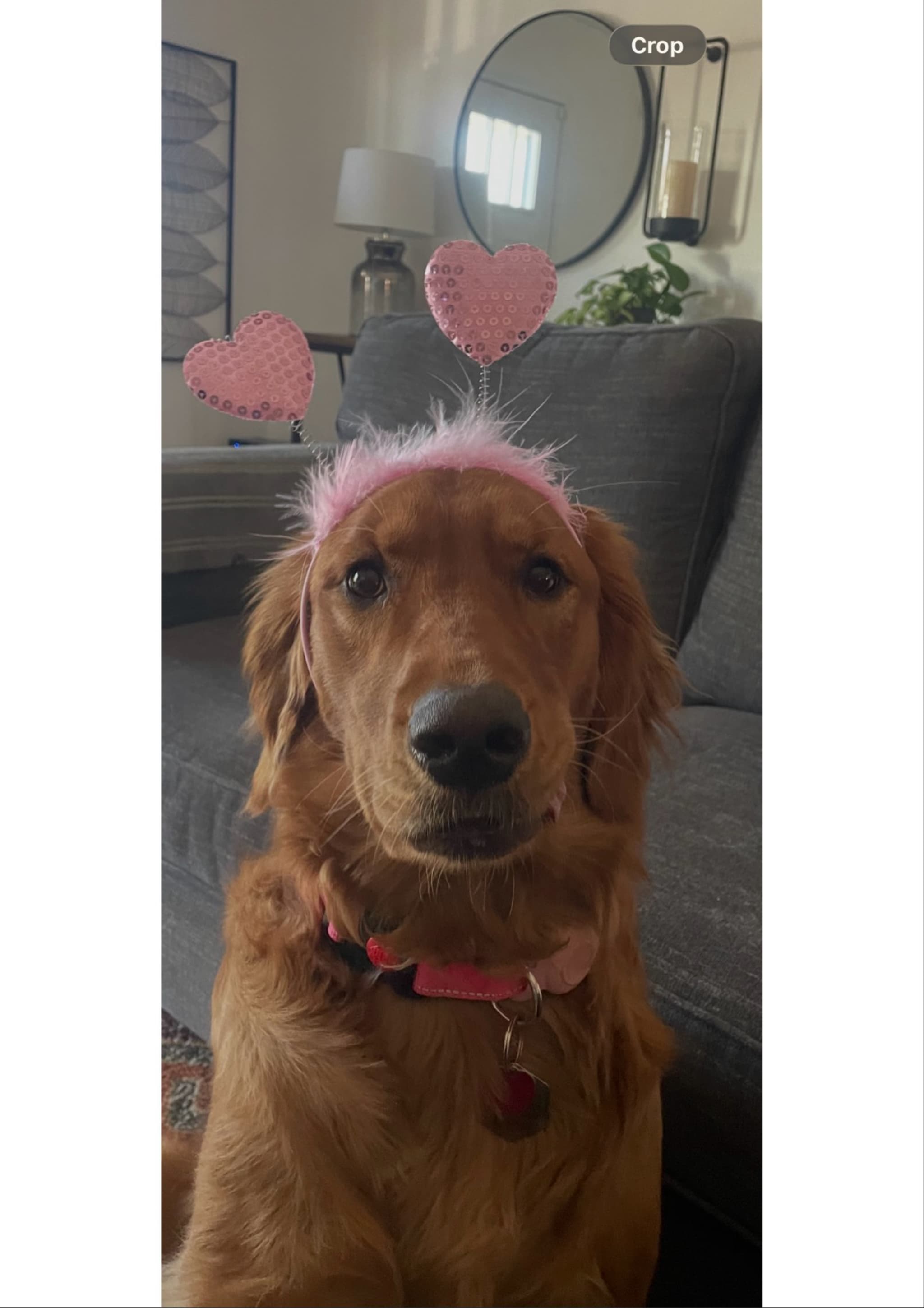 Photo of Molly