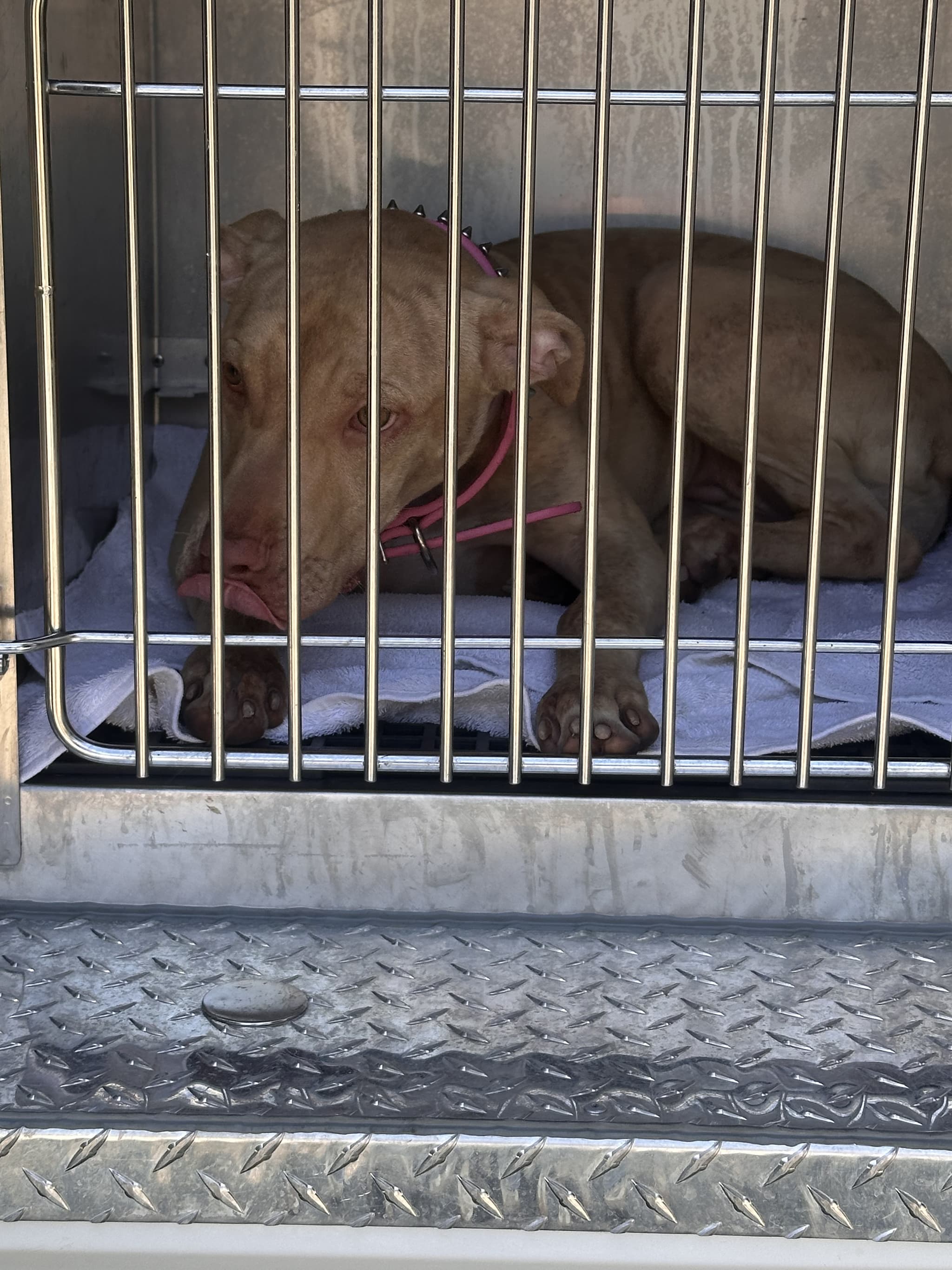 Photo of Stormy