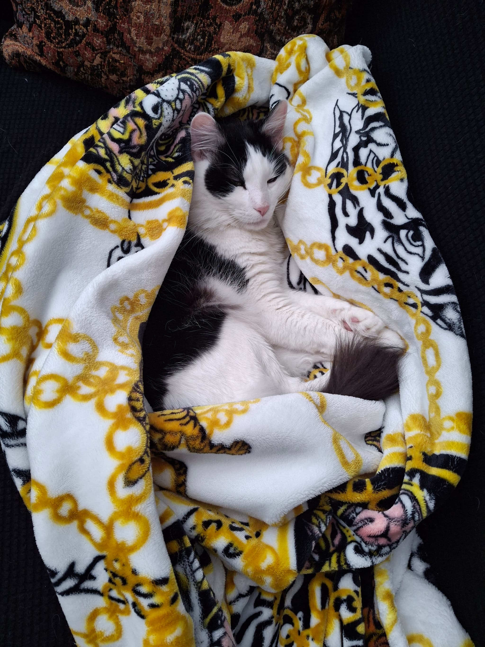 Photo of Moo