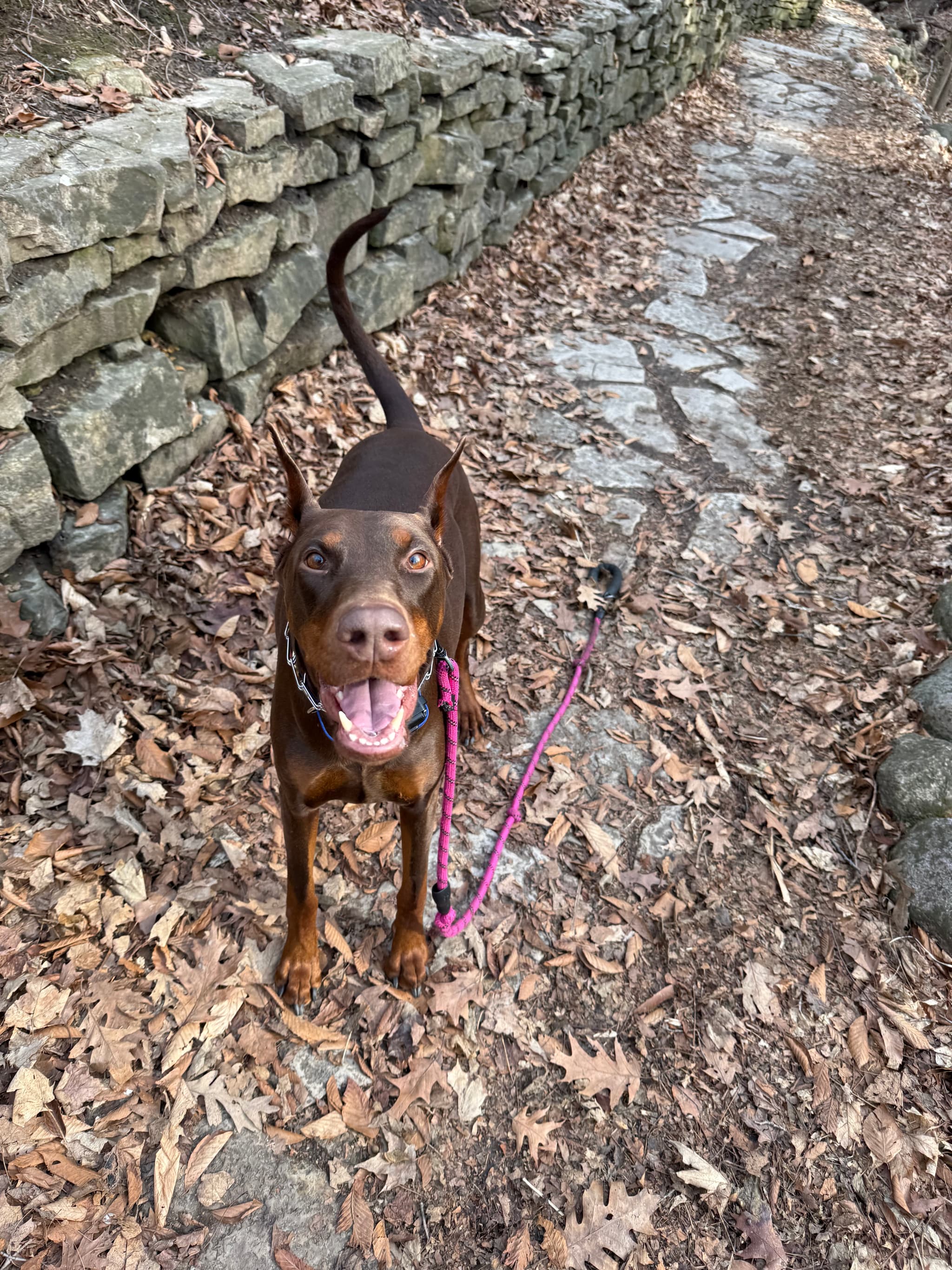 Photo of Athena