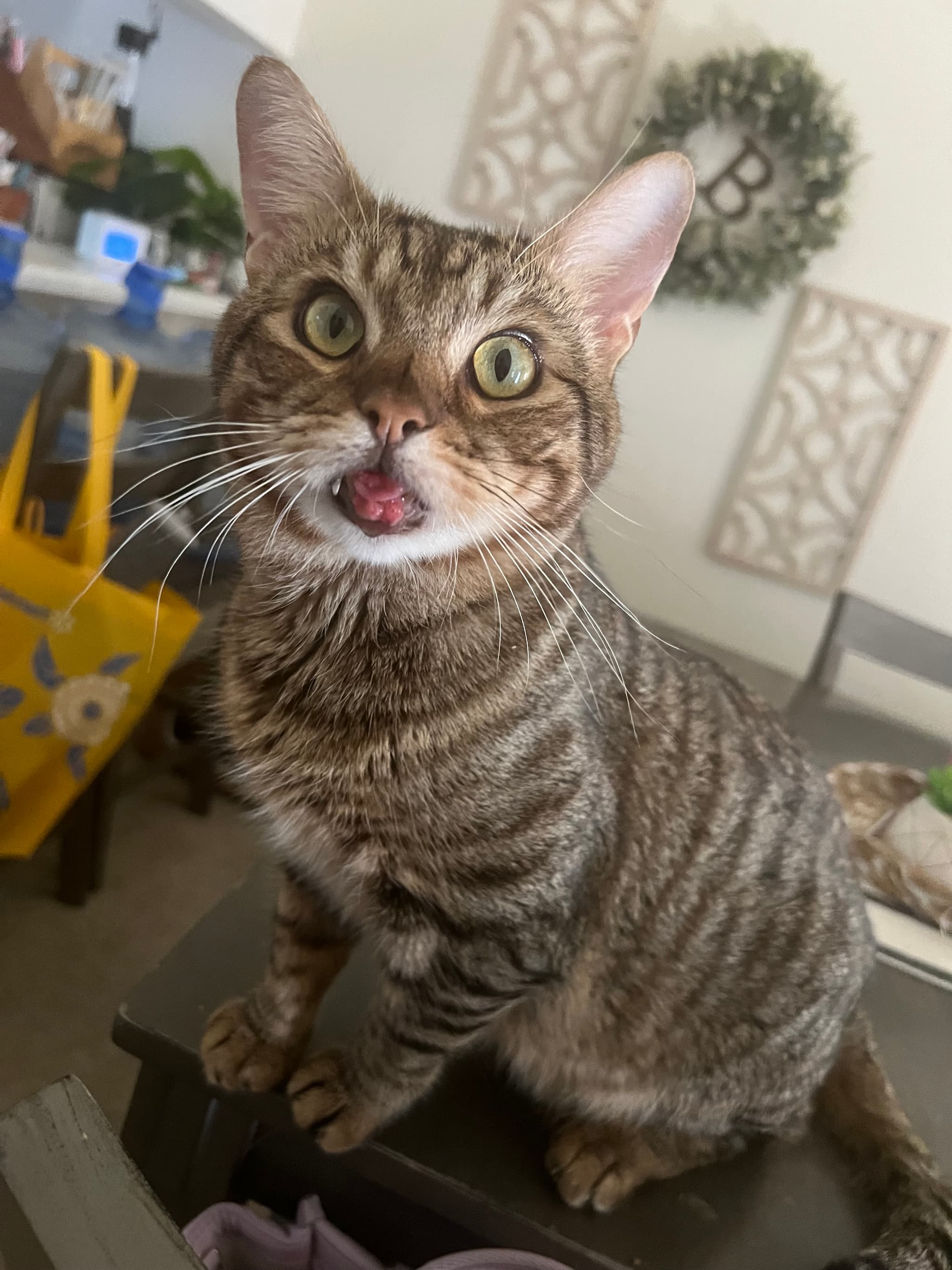 Photo of Tai