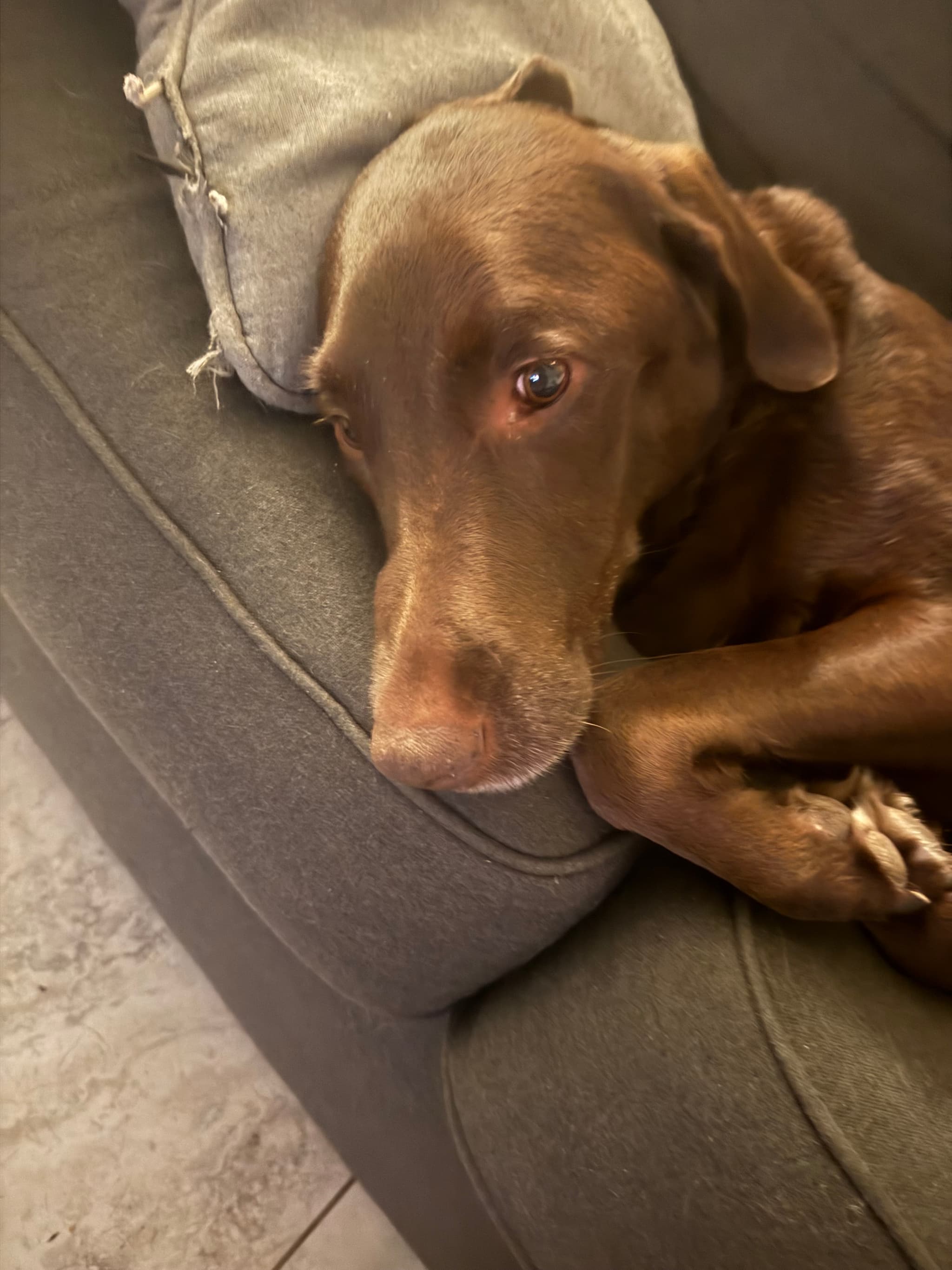 Photo of Maya