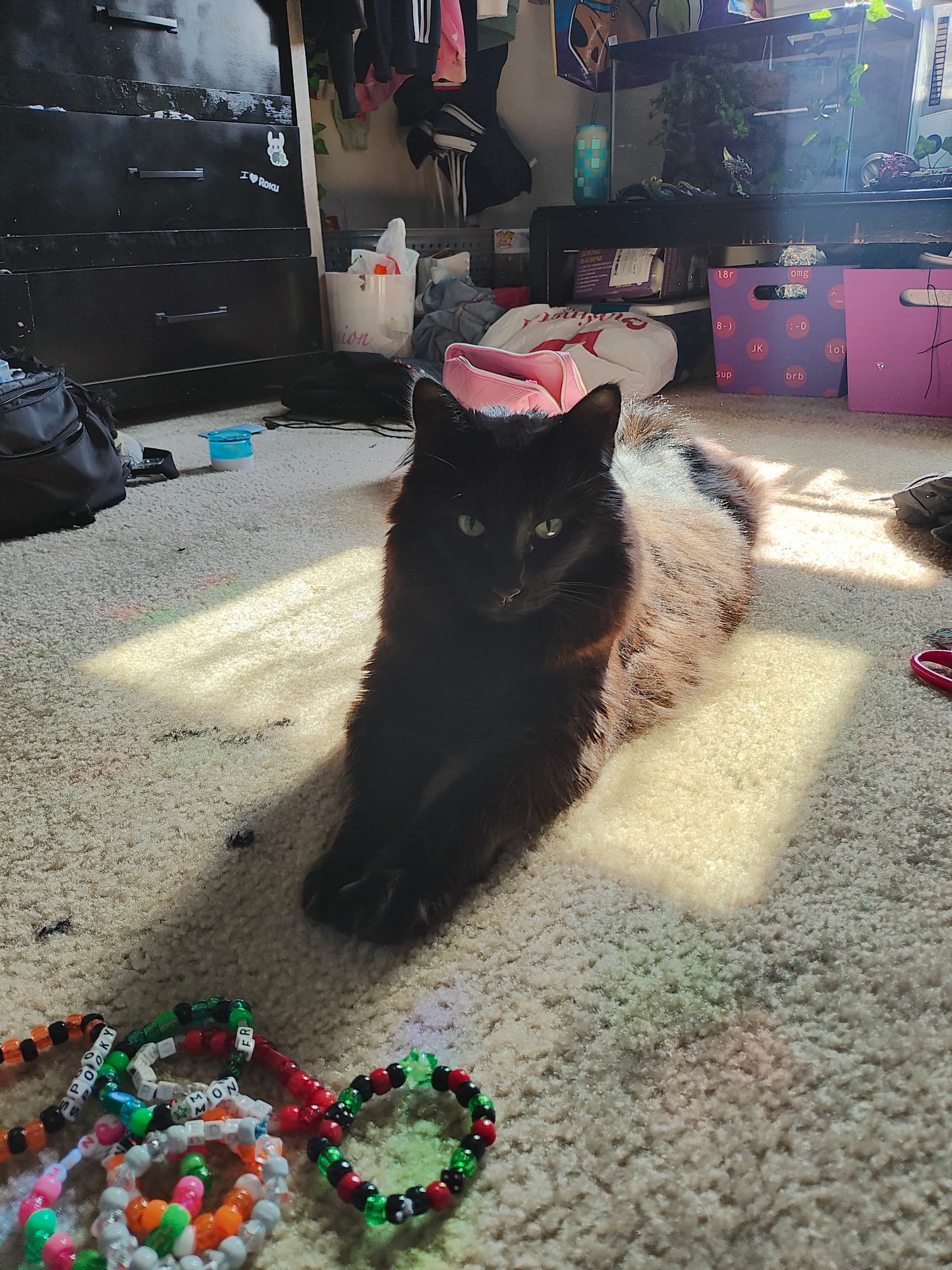 Photo of Cinder