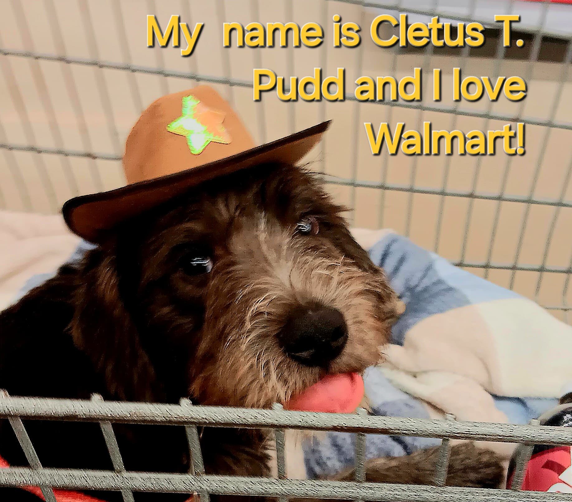 Photo of Cletus
