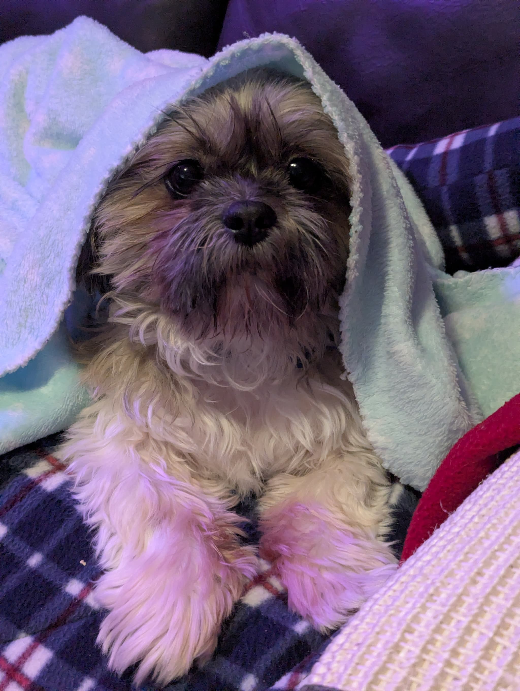 Photo of Bucky