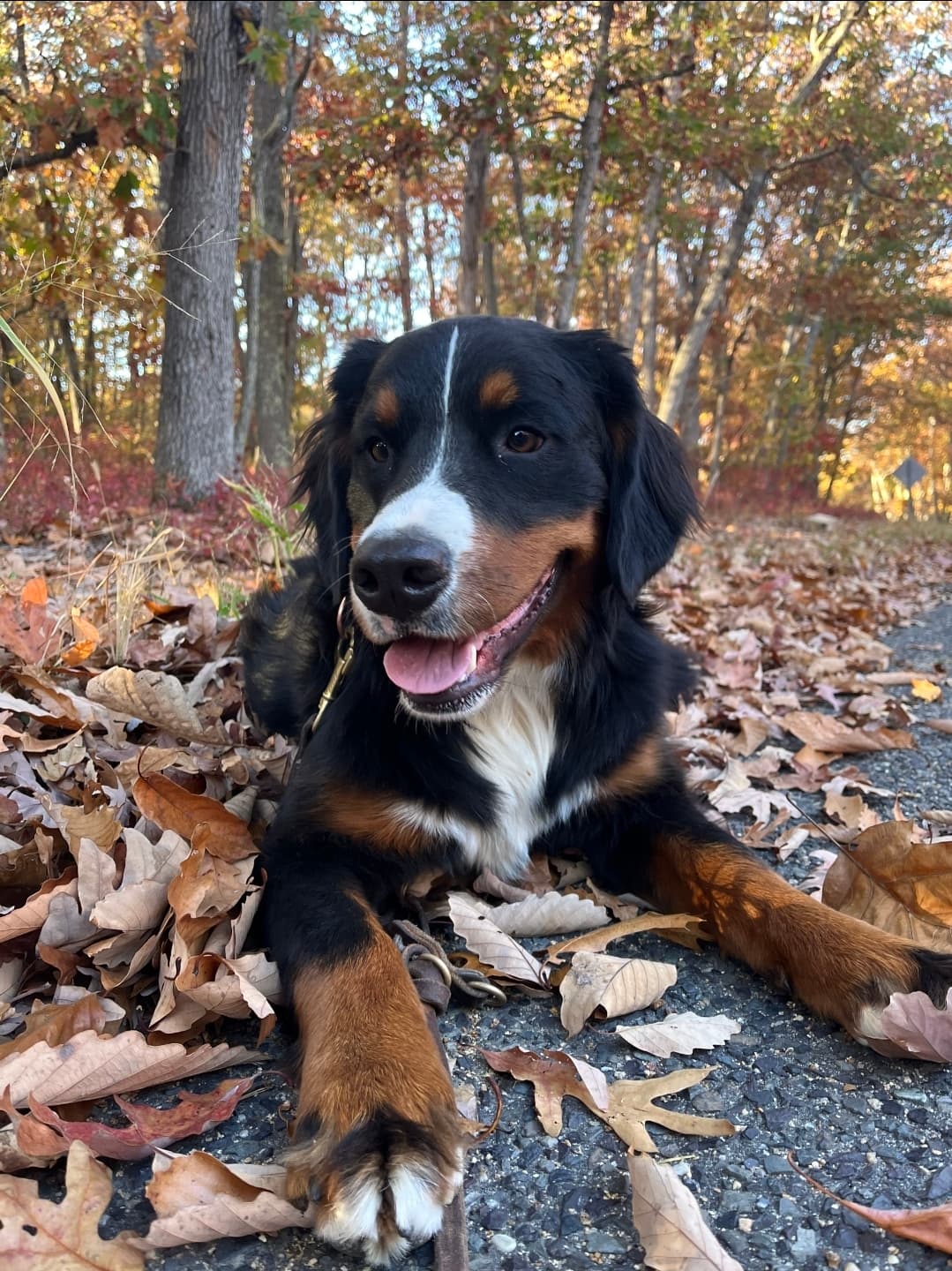 Photo of Winnie