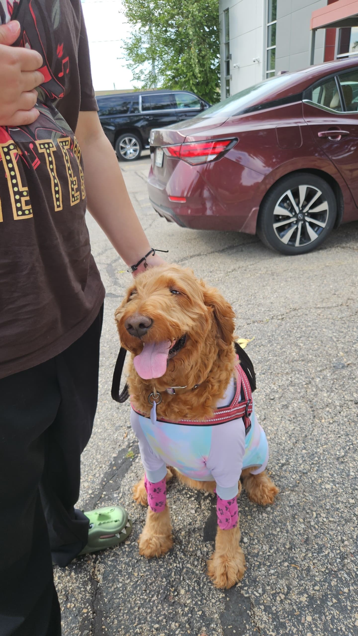Photo of Piper