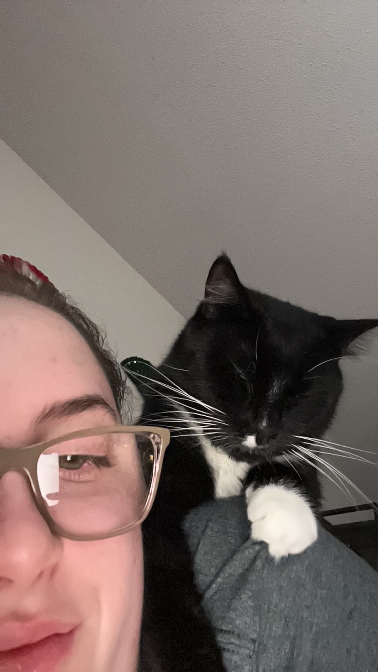 Photo of Oreo