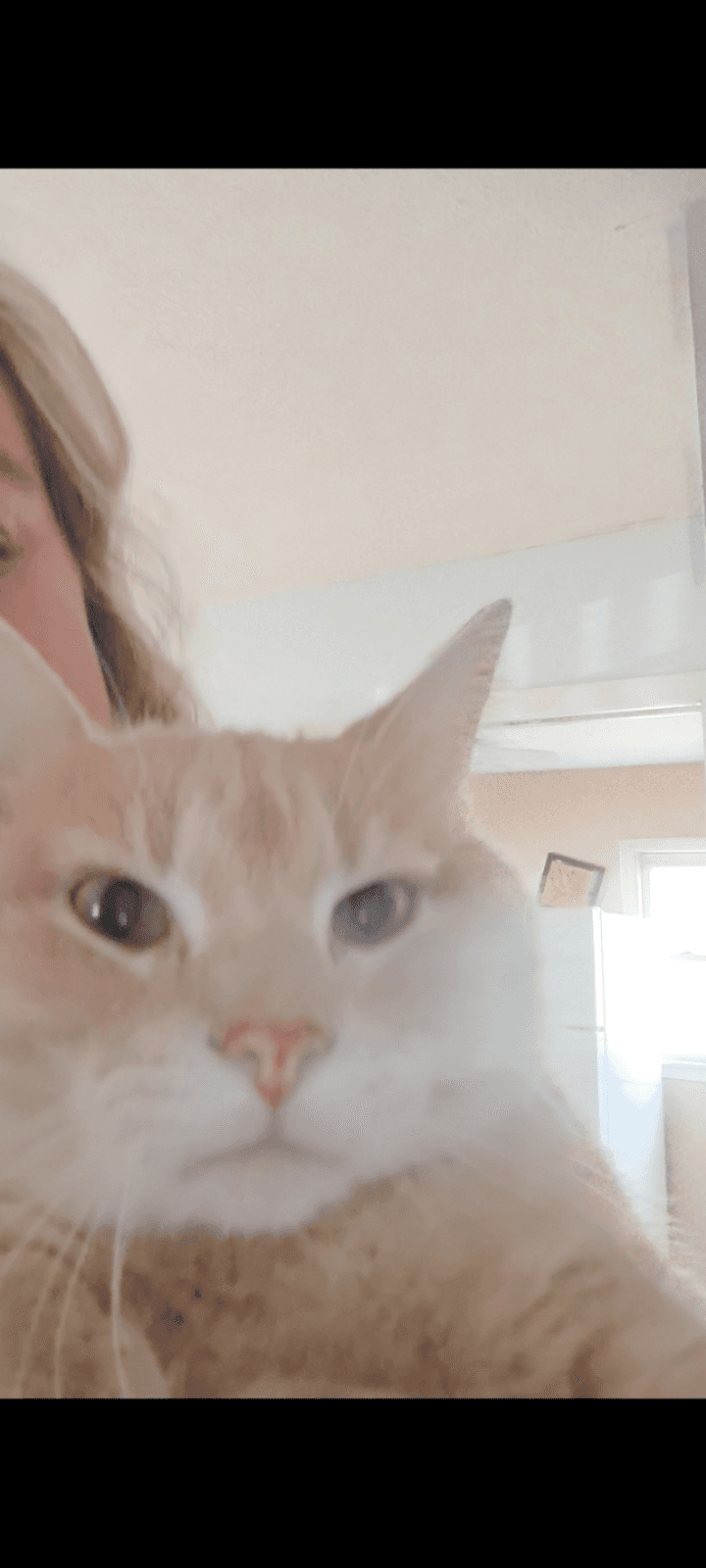 Photo of Sunny