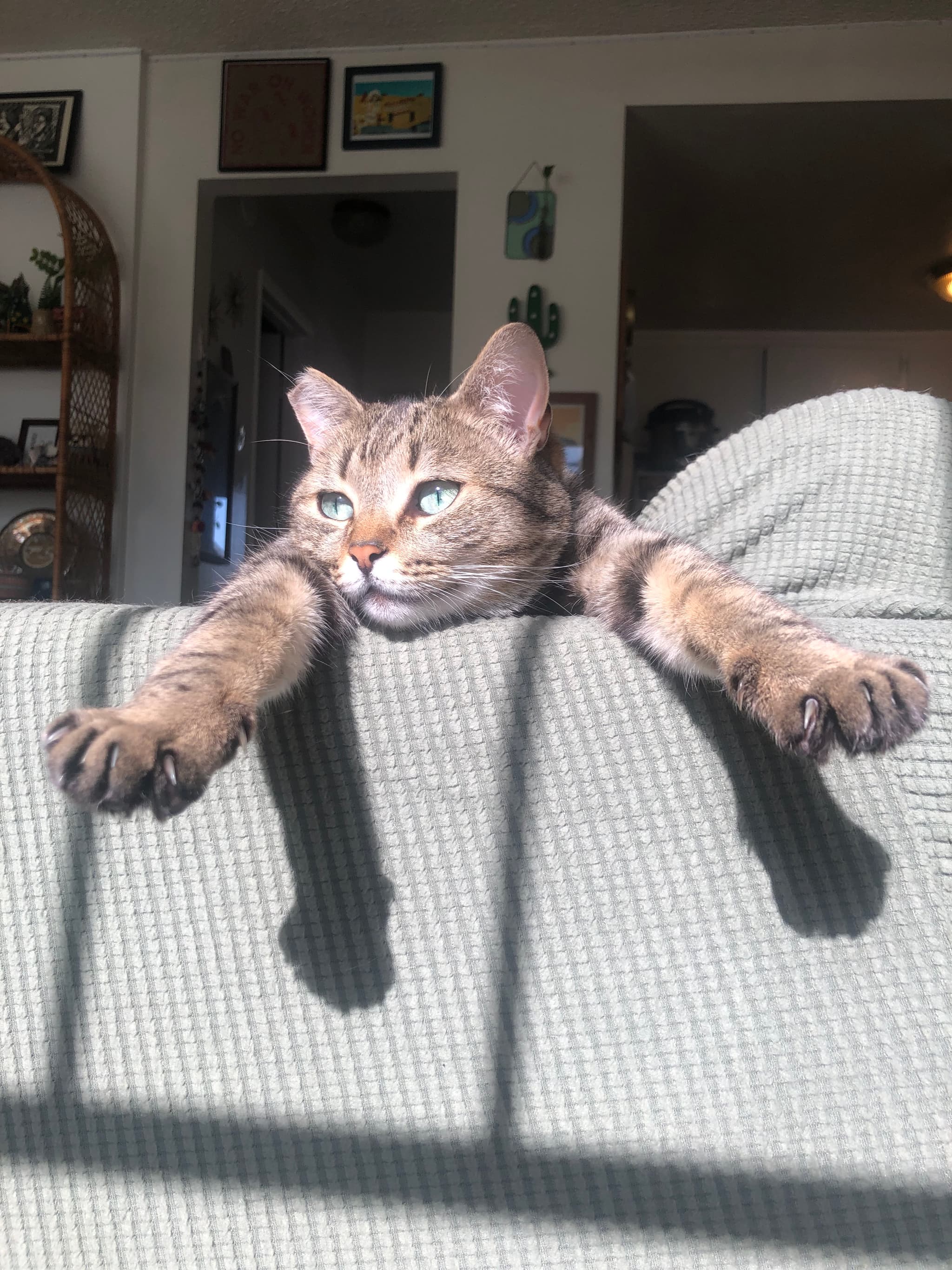 Photo of Sage