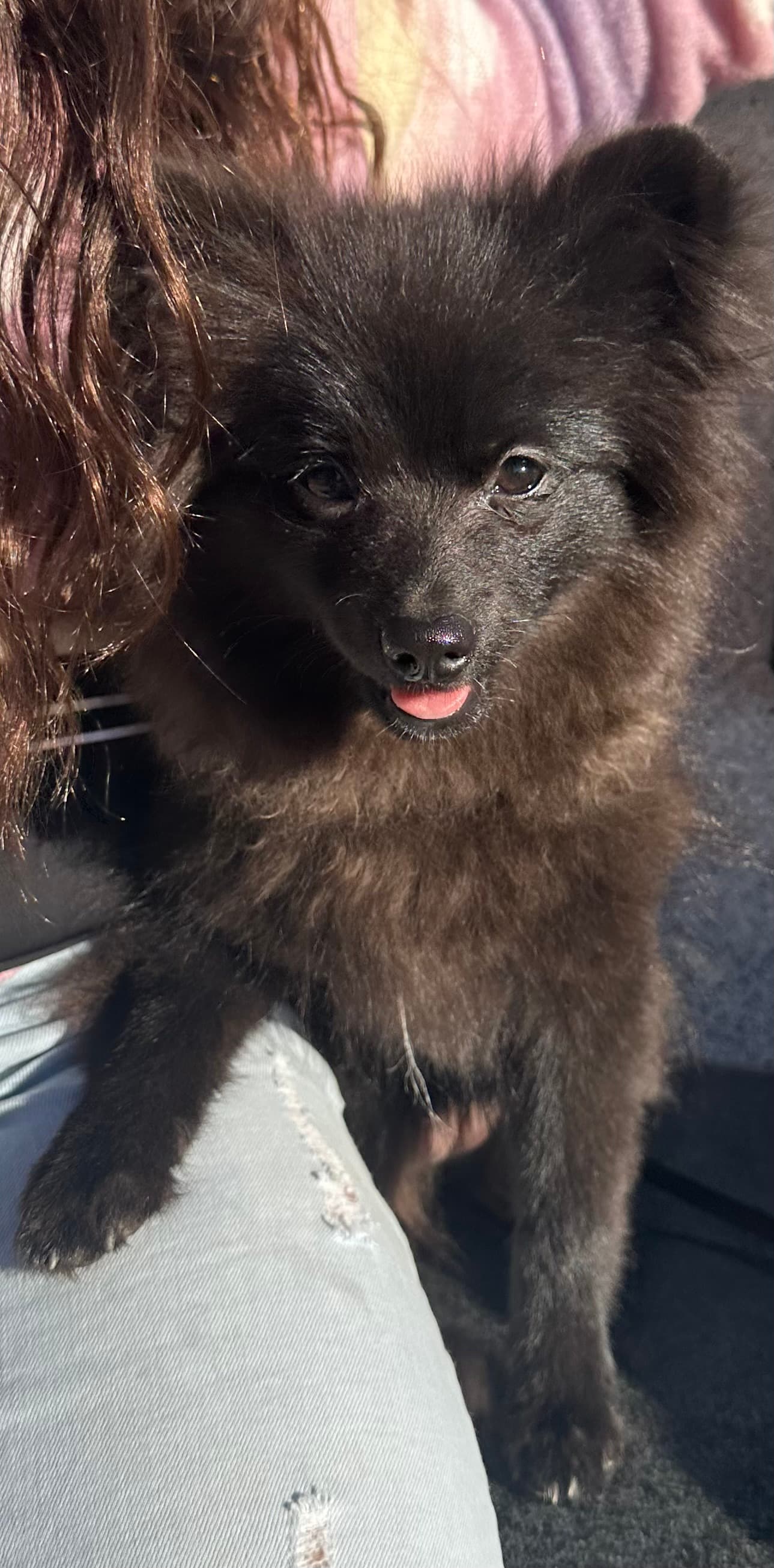 Photo of Chiki