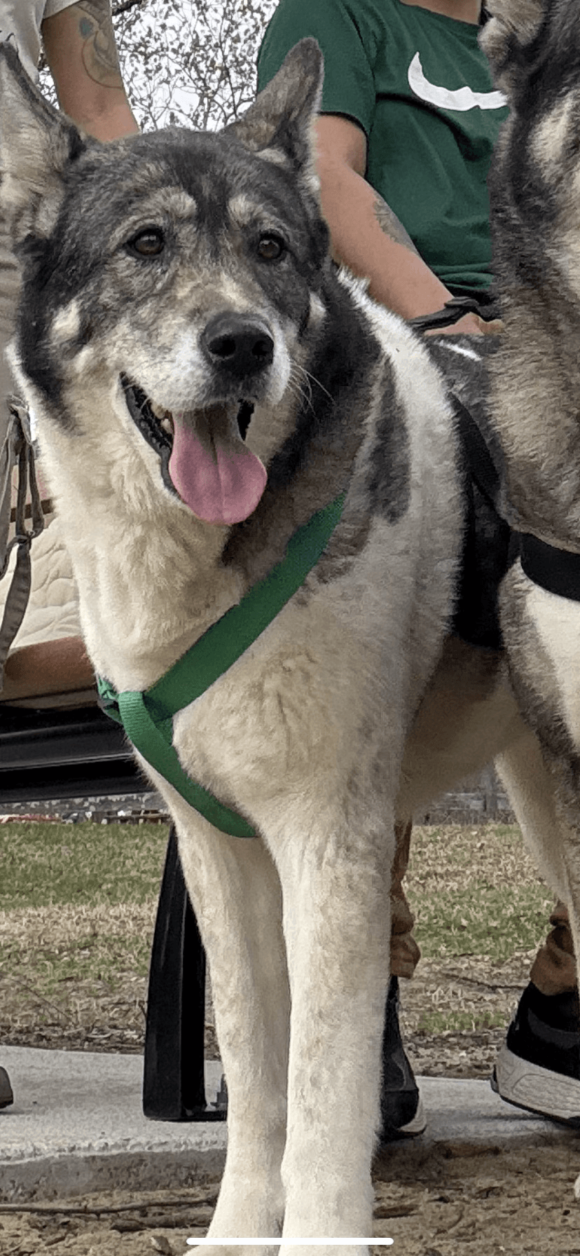 Photo of Marley