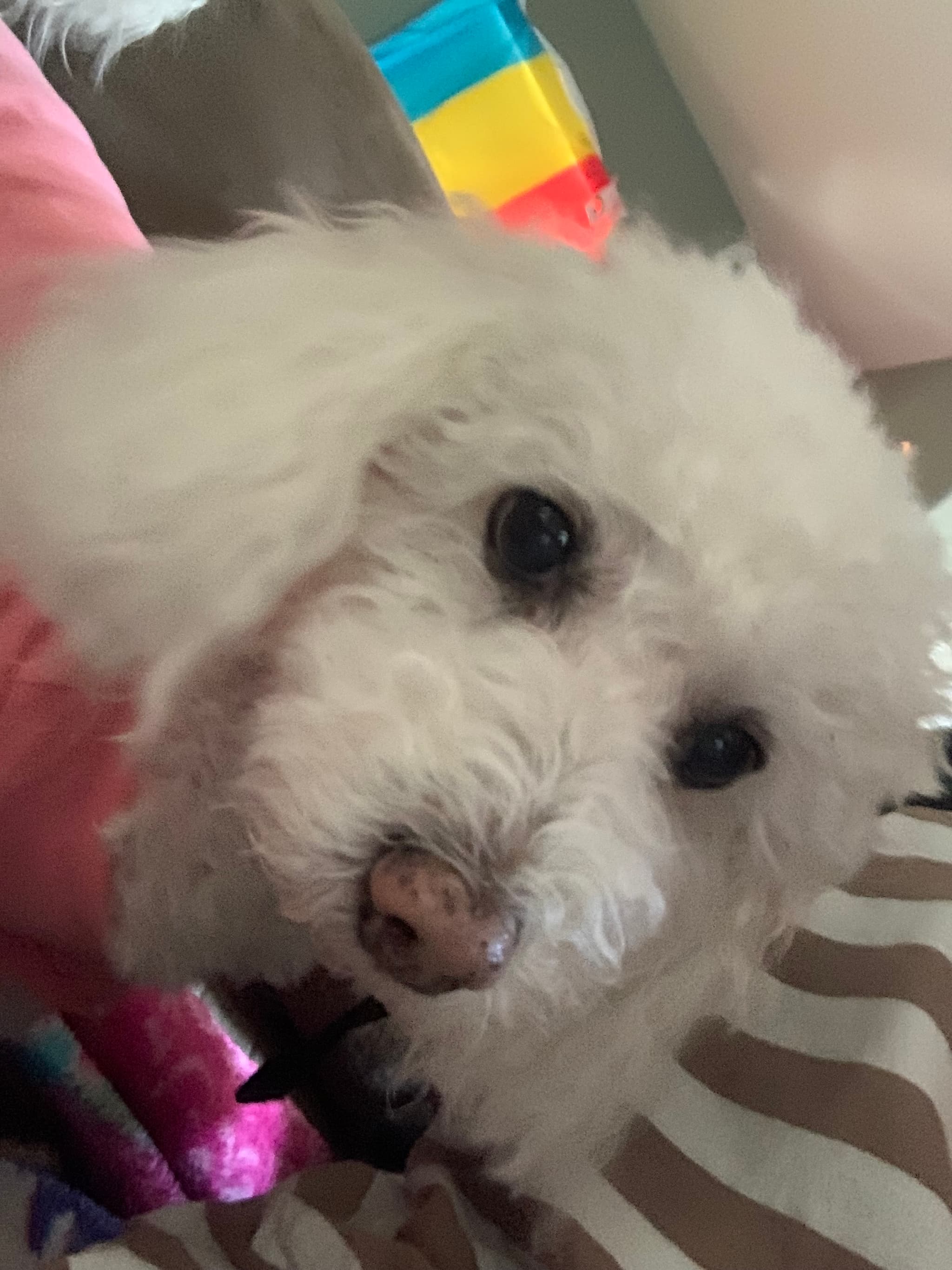 Photo of Sally