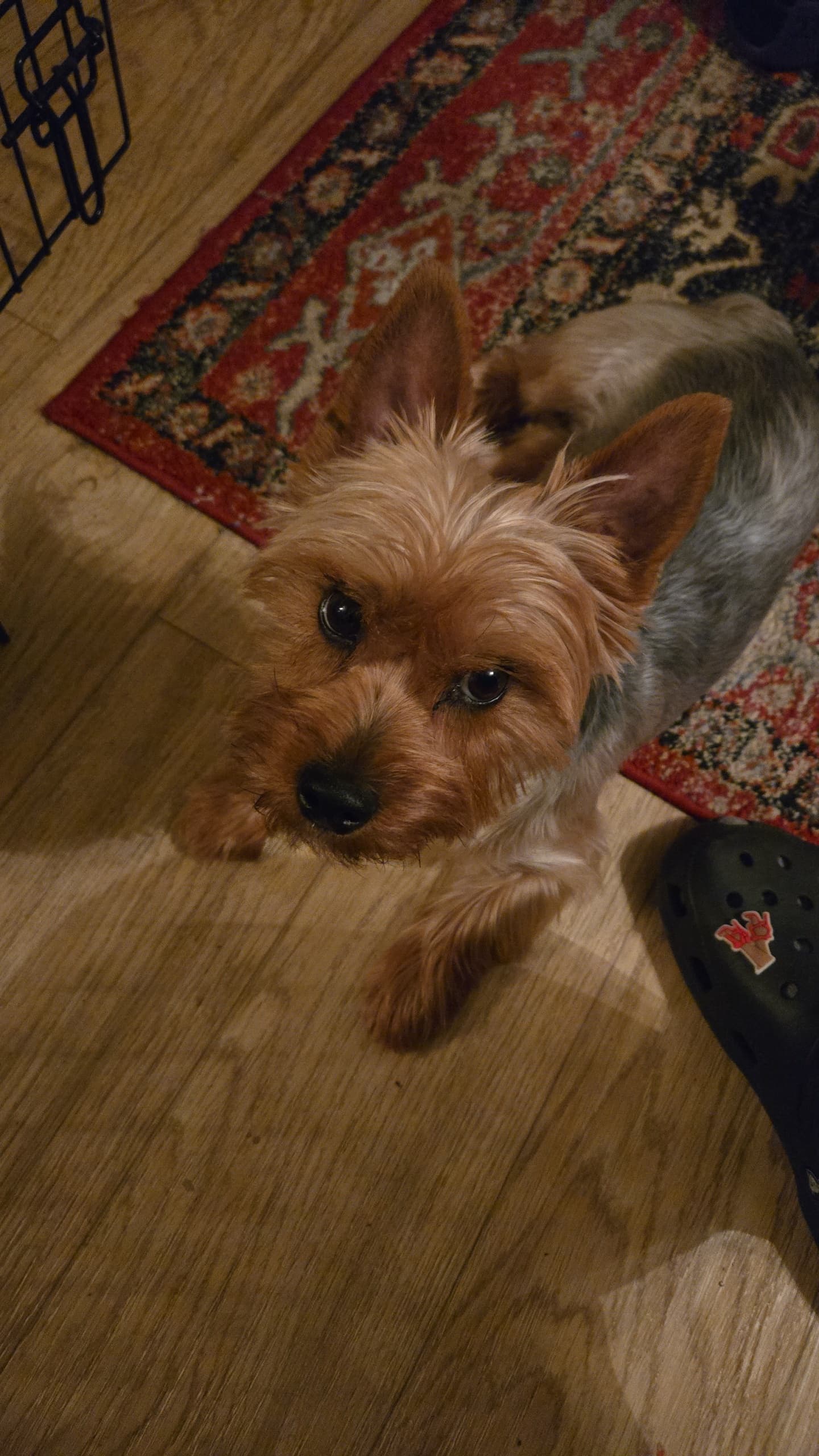 Photo of Chase