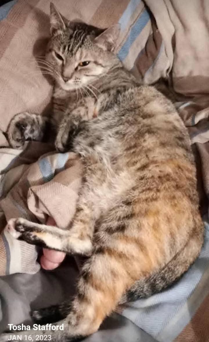 Photo of LiLI