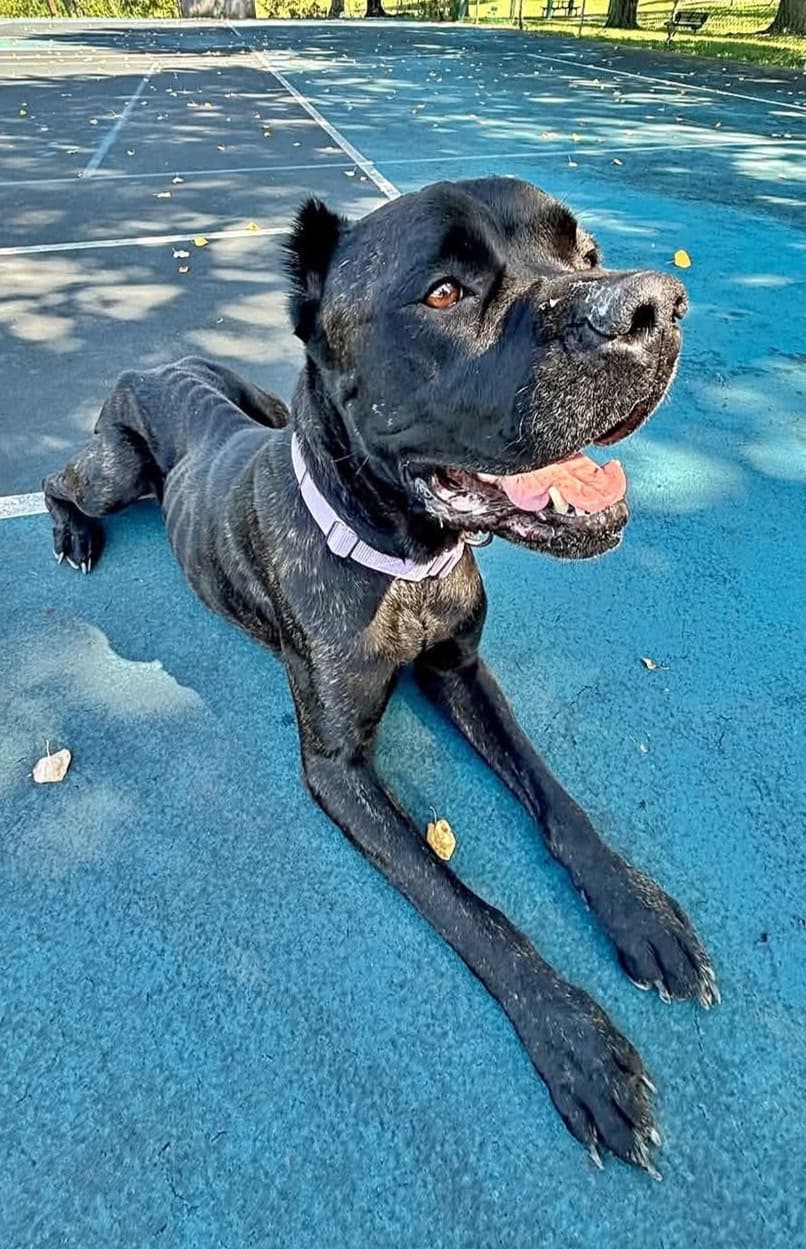 Photo of Xena