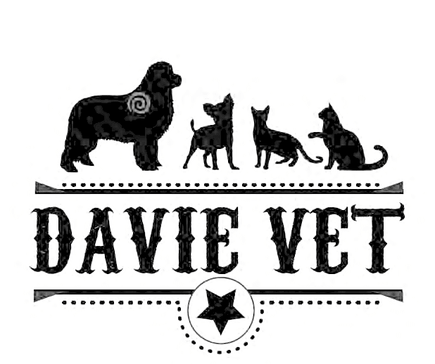 Davie Veterinary Center logo