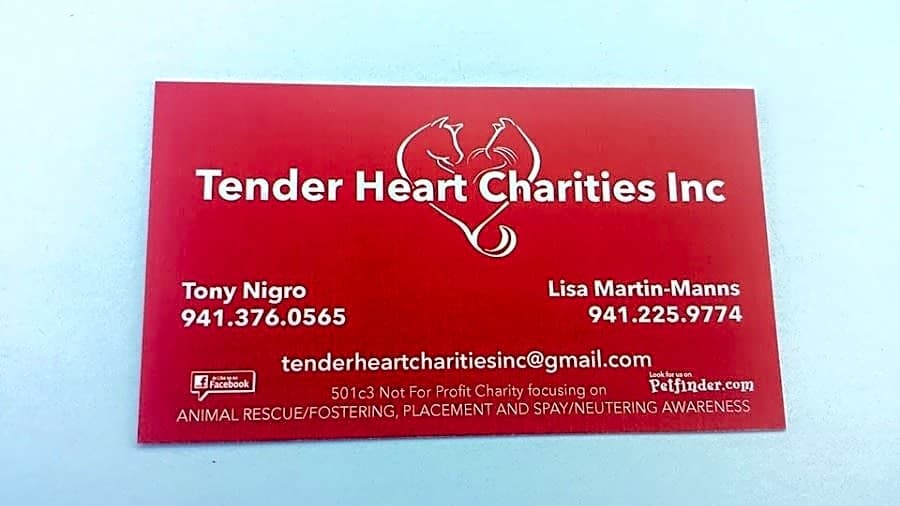 Tender Heart Charities Inc logo