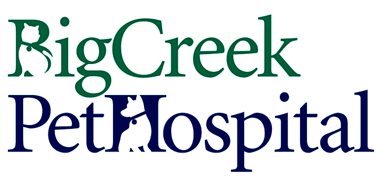 Big Creek Pet Hospital logo