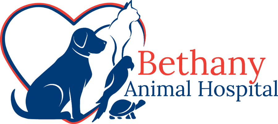 Bethany Animal Hospital logo