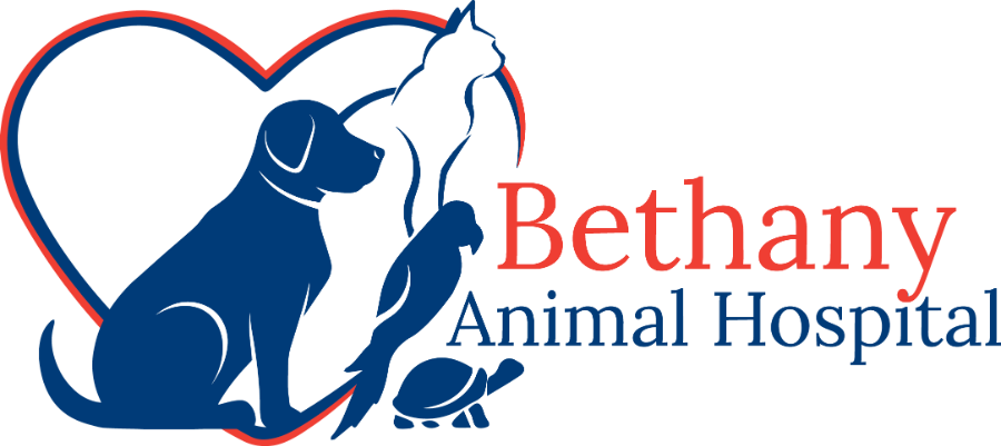 Bethany Animal Hospital logo