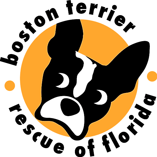 Boston Terrier Rescue of Florida, Inc. logo